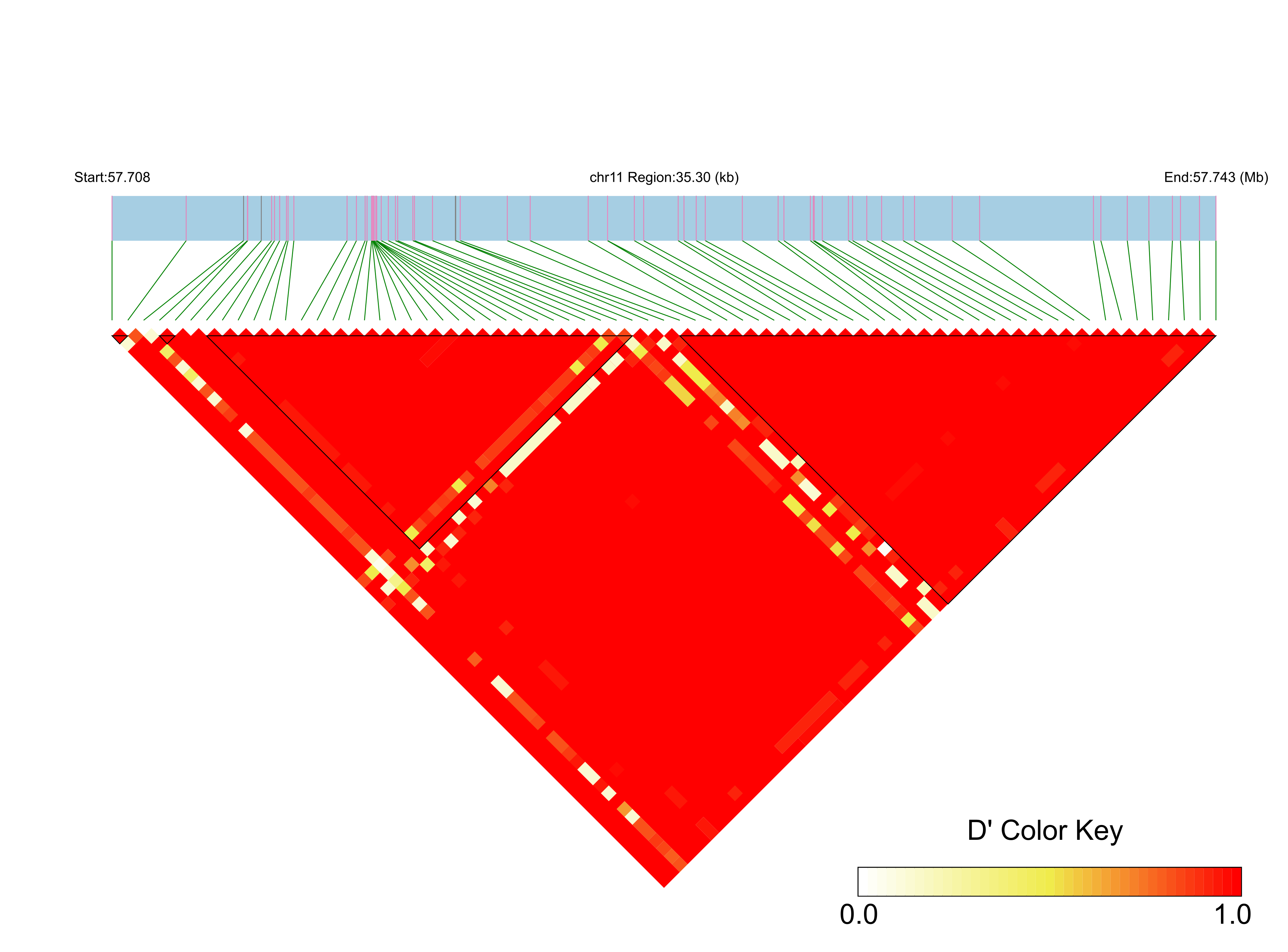 LD