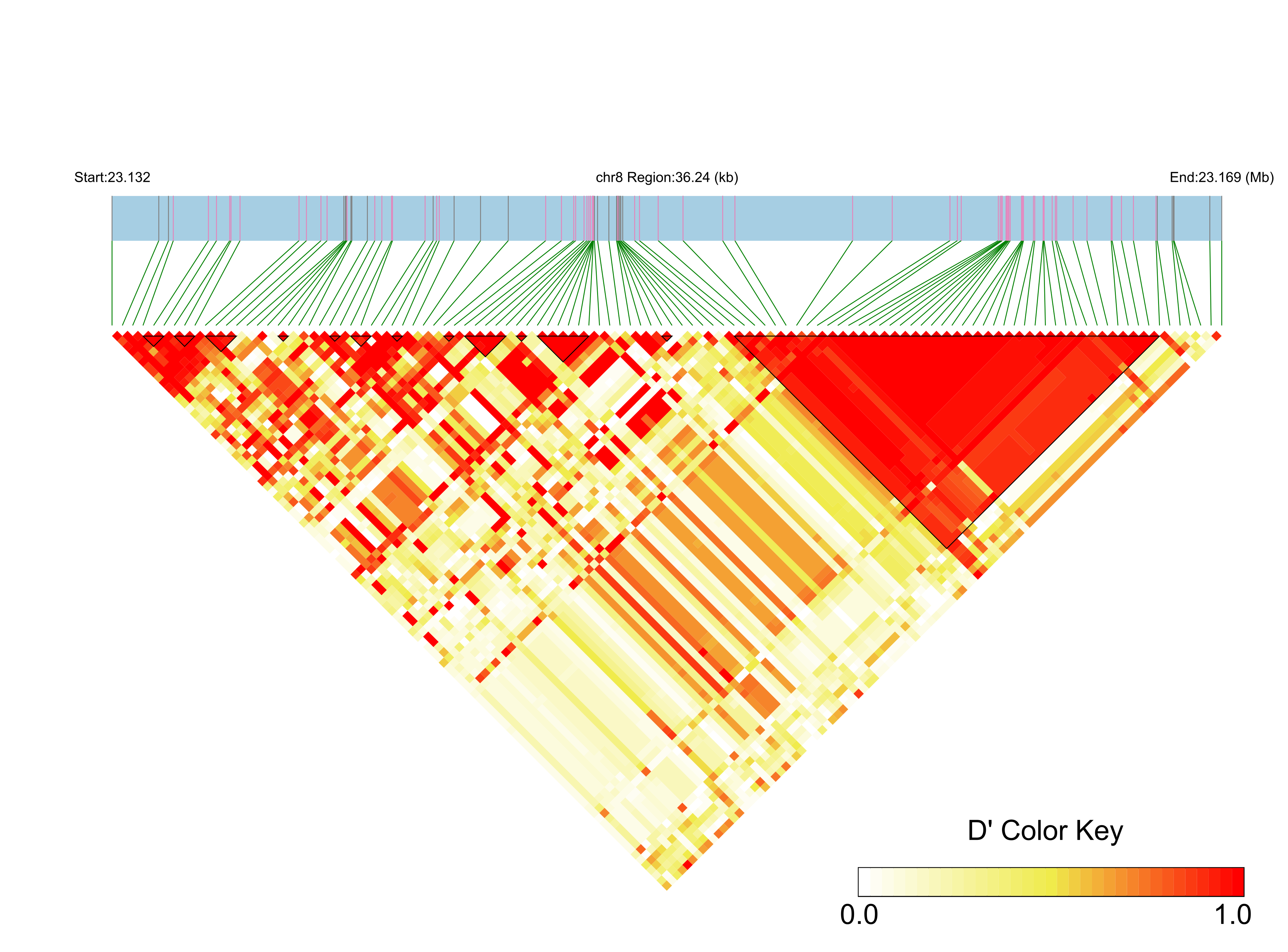 LD