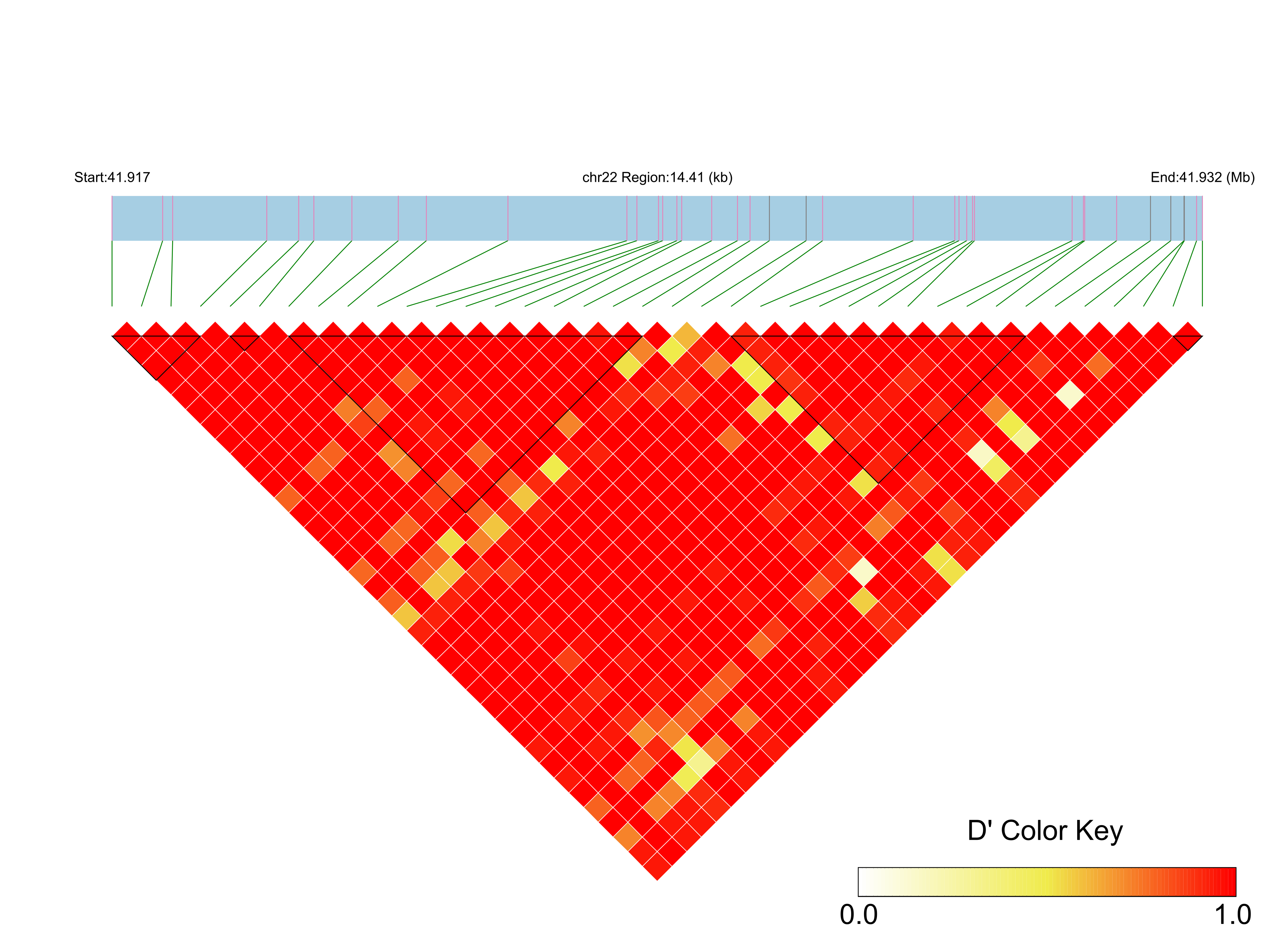 LD