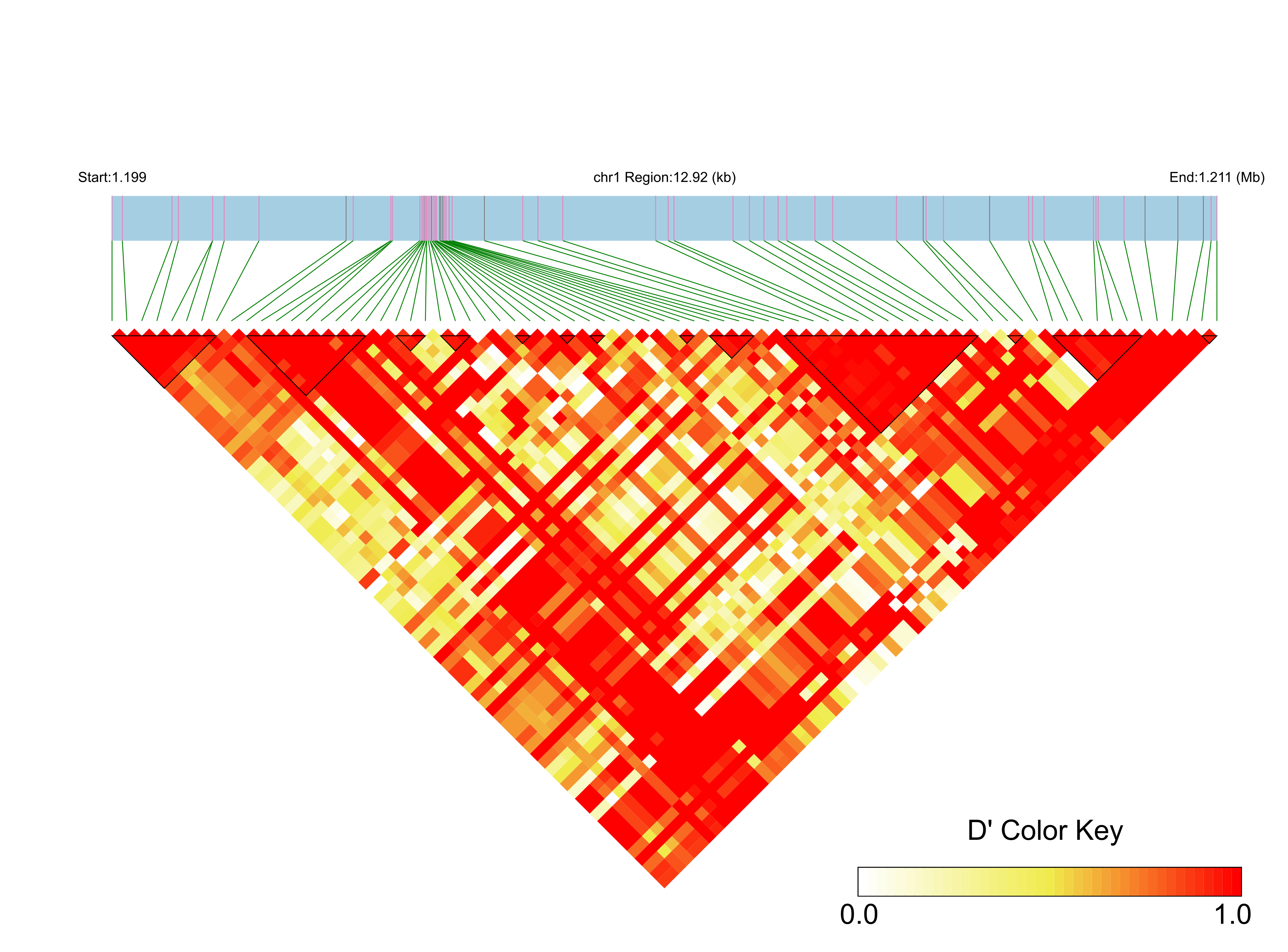 LD
