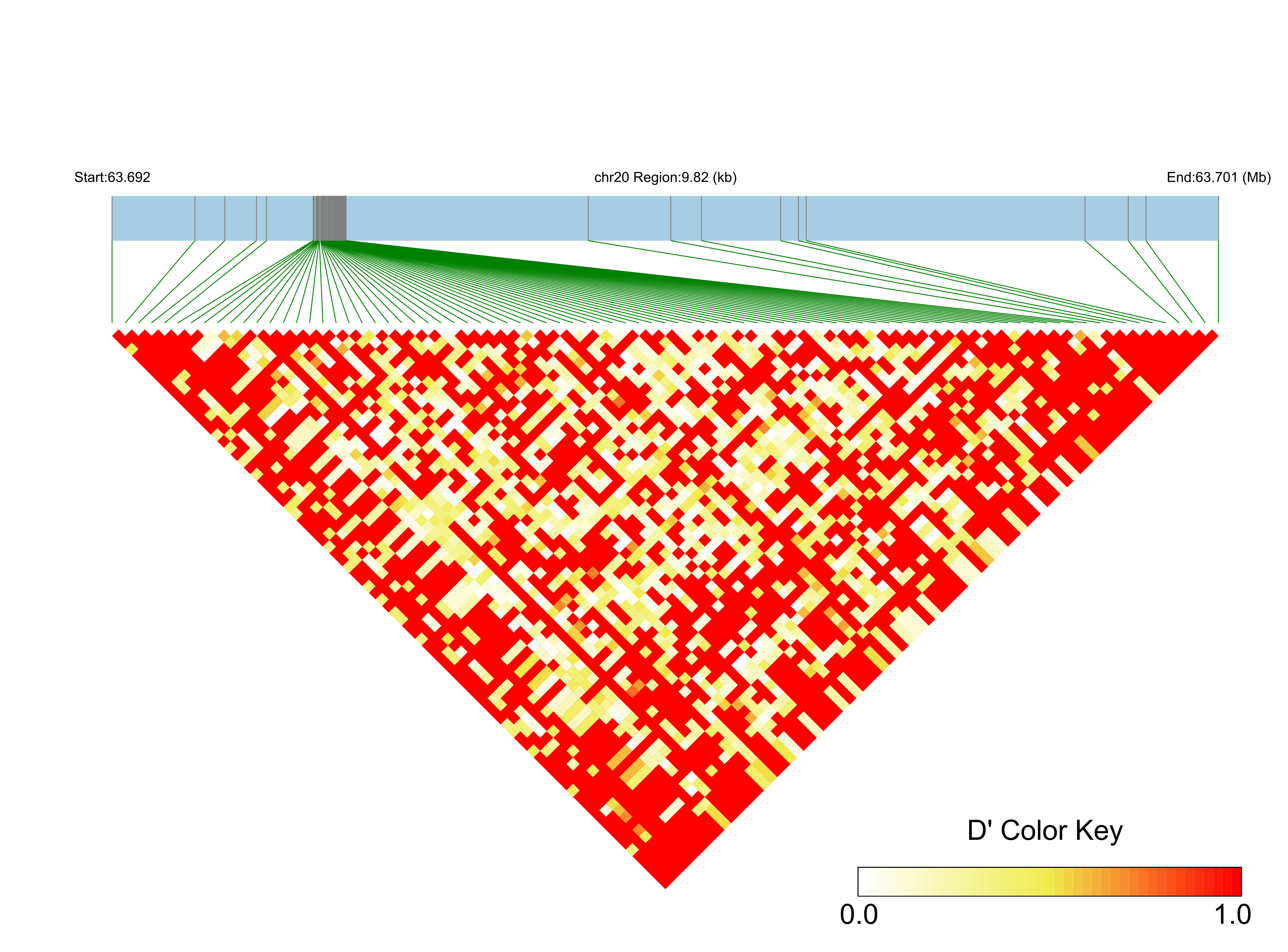 LD
