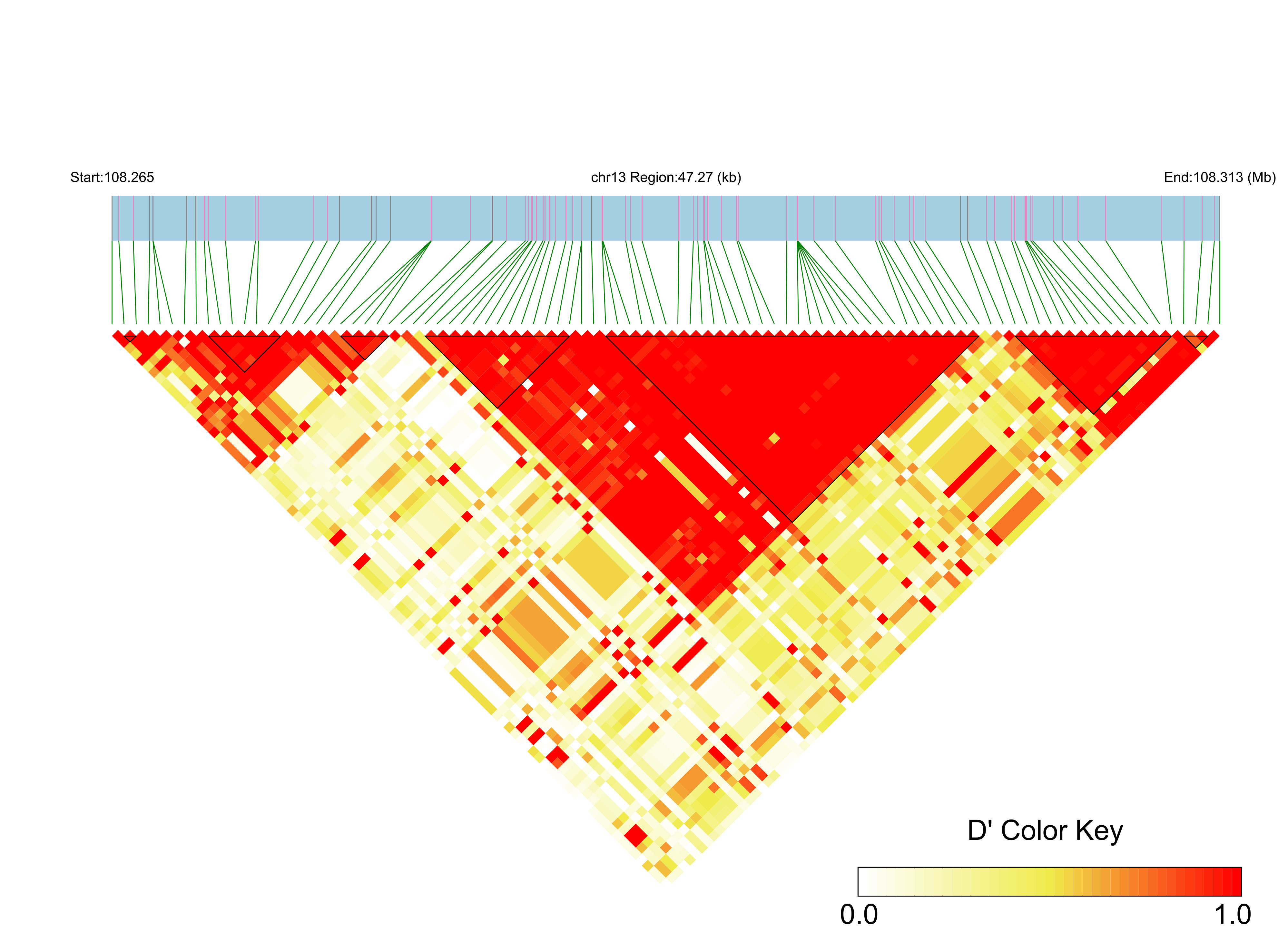 LD