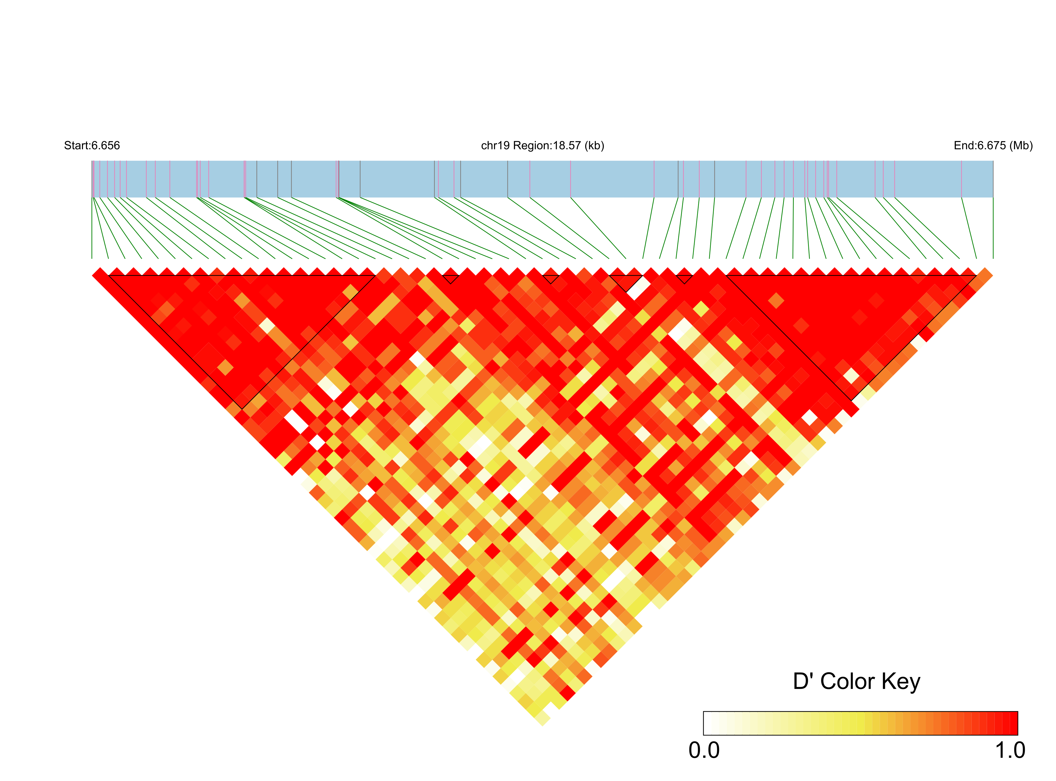 LD