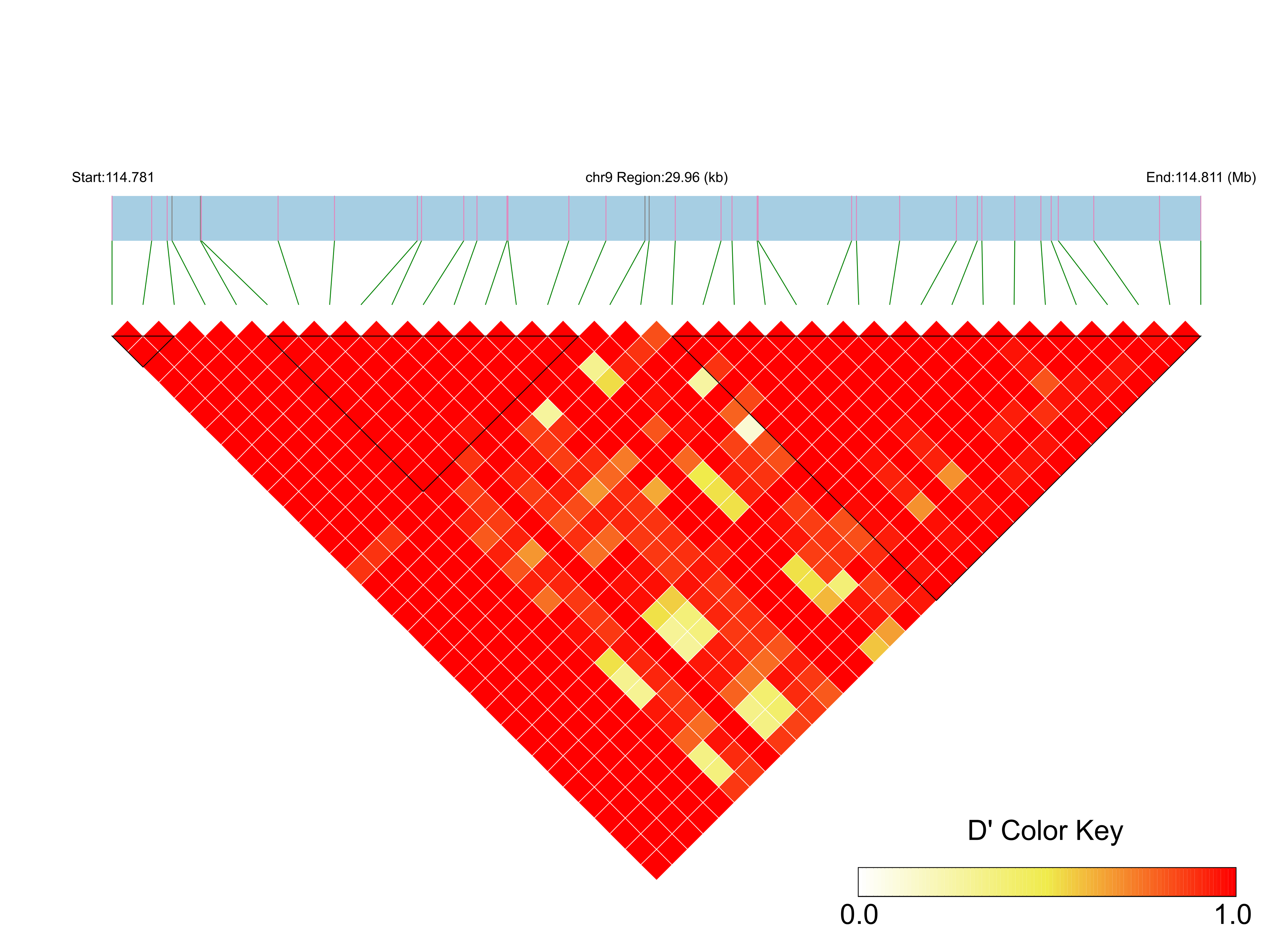 LD