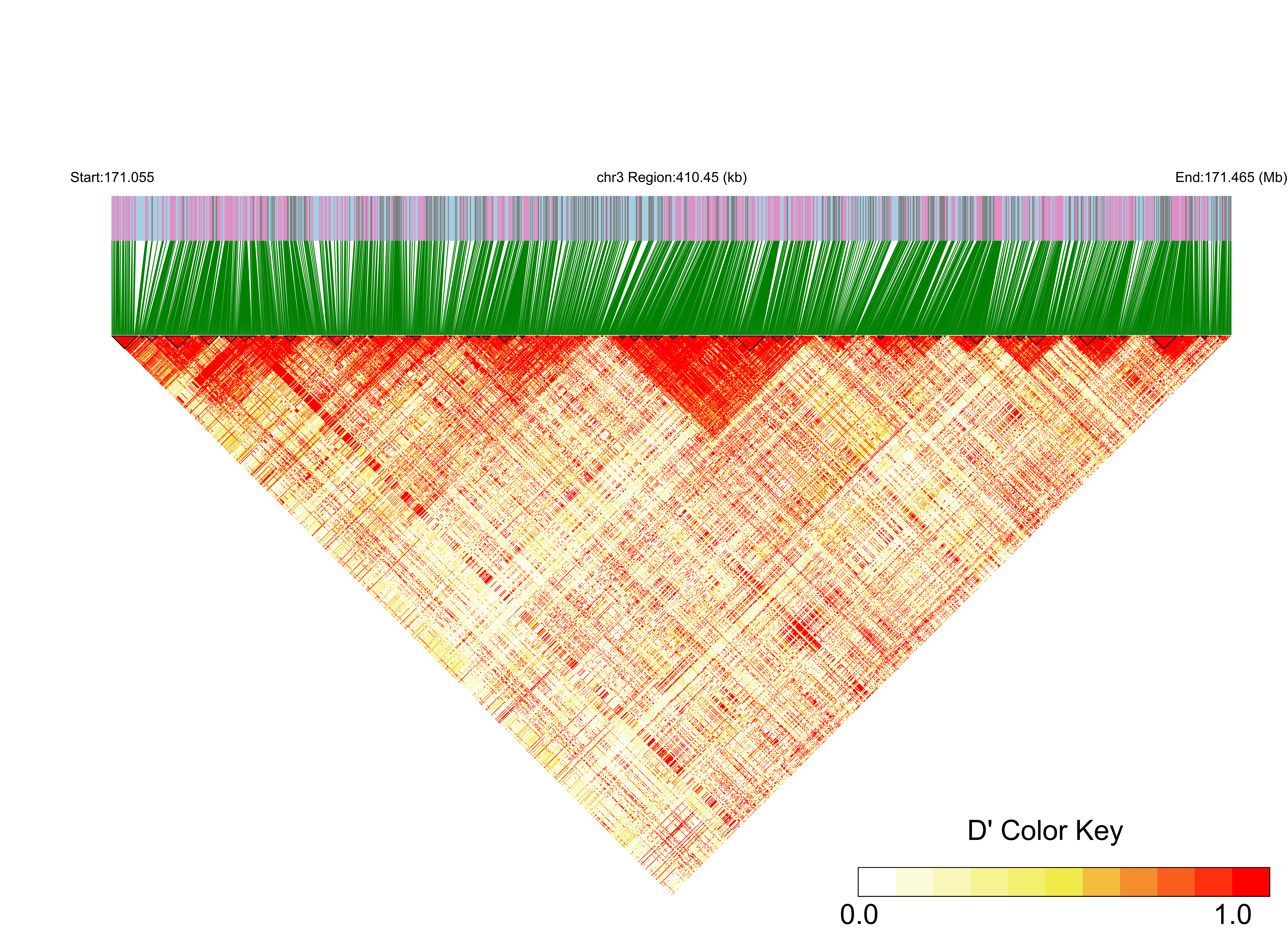 LD