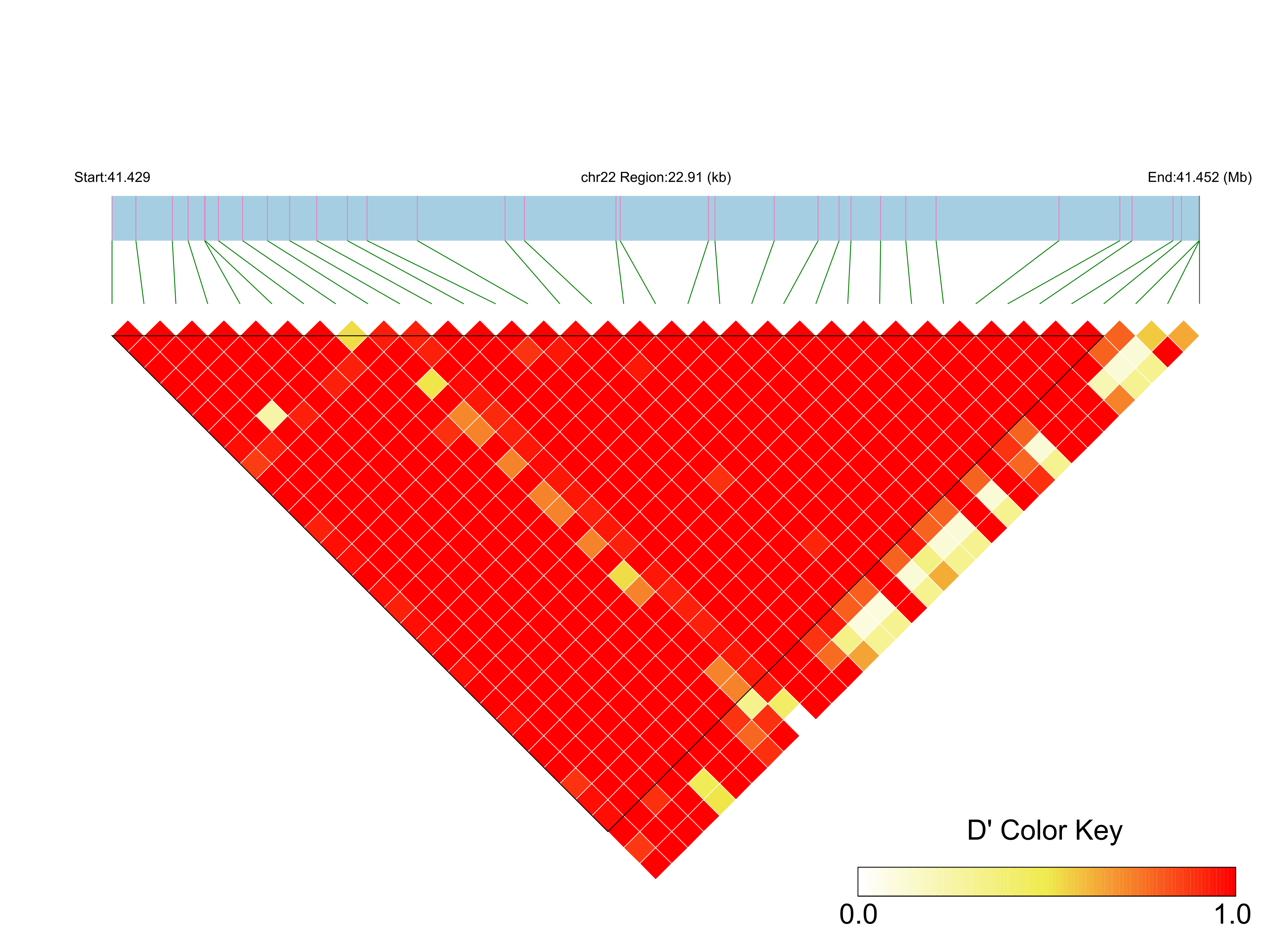 LD