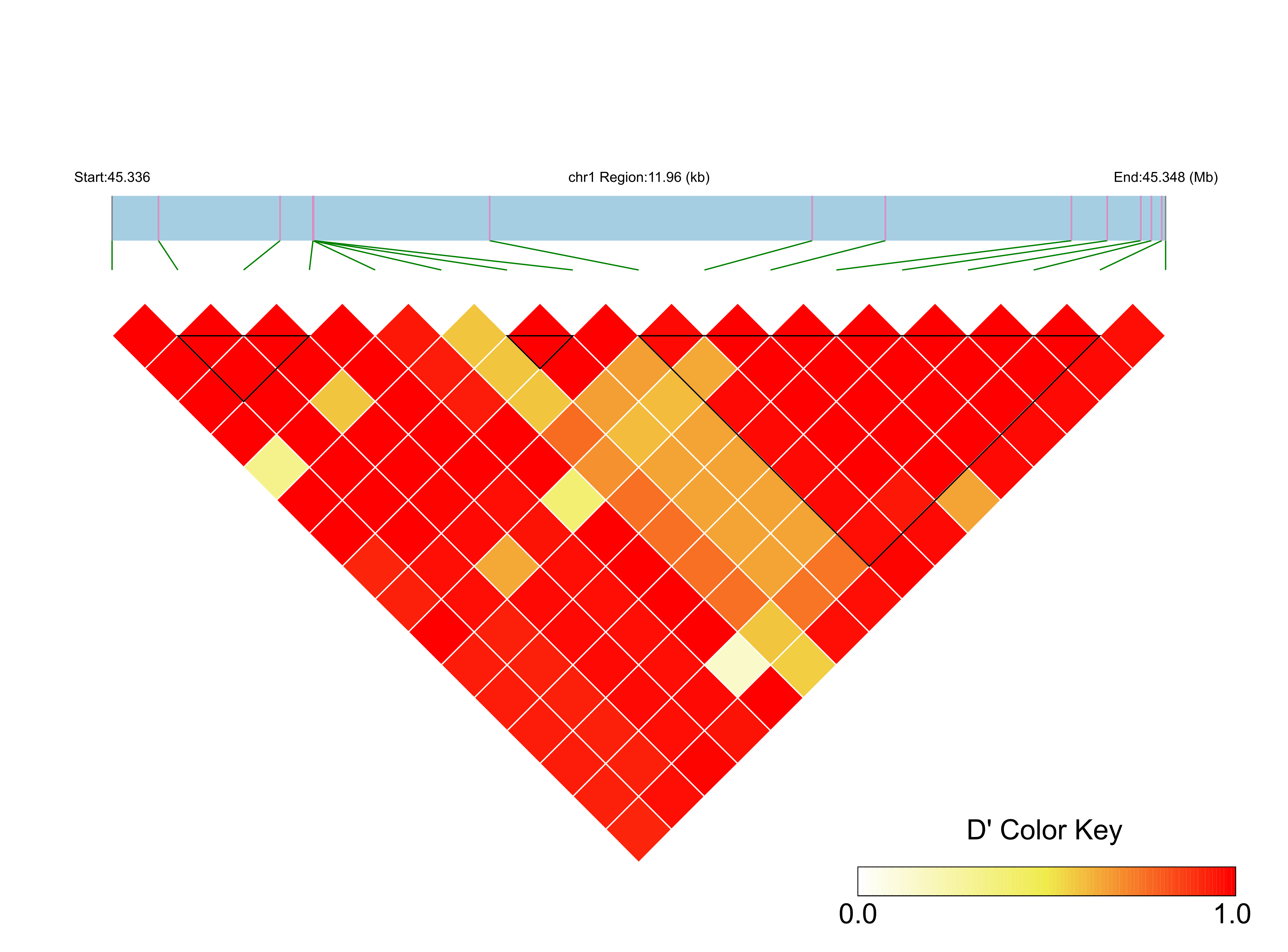 LD