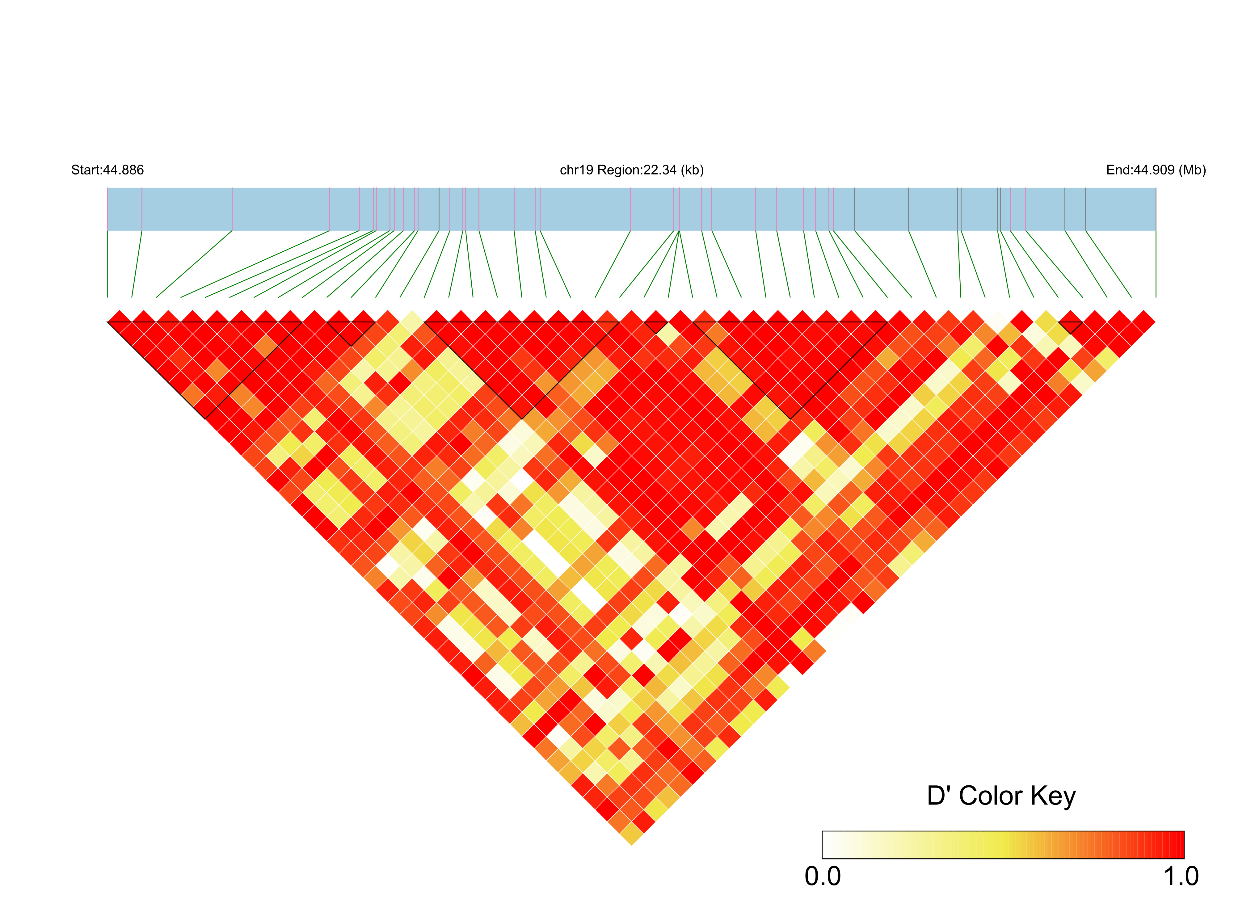 LD