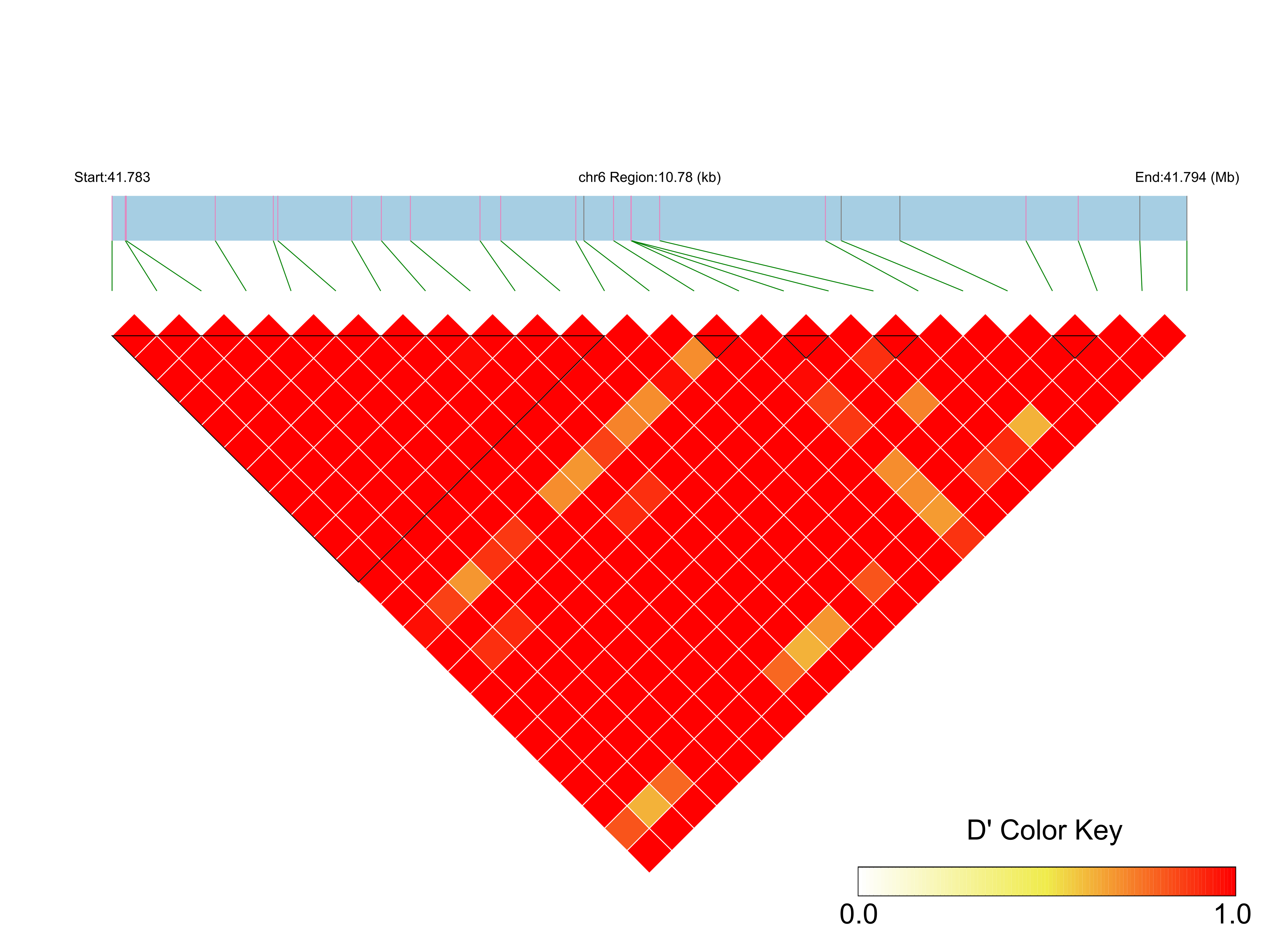 LD
