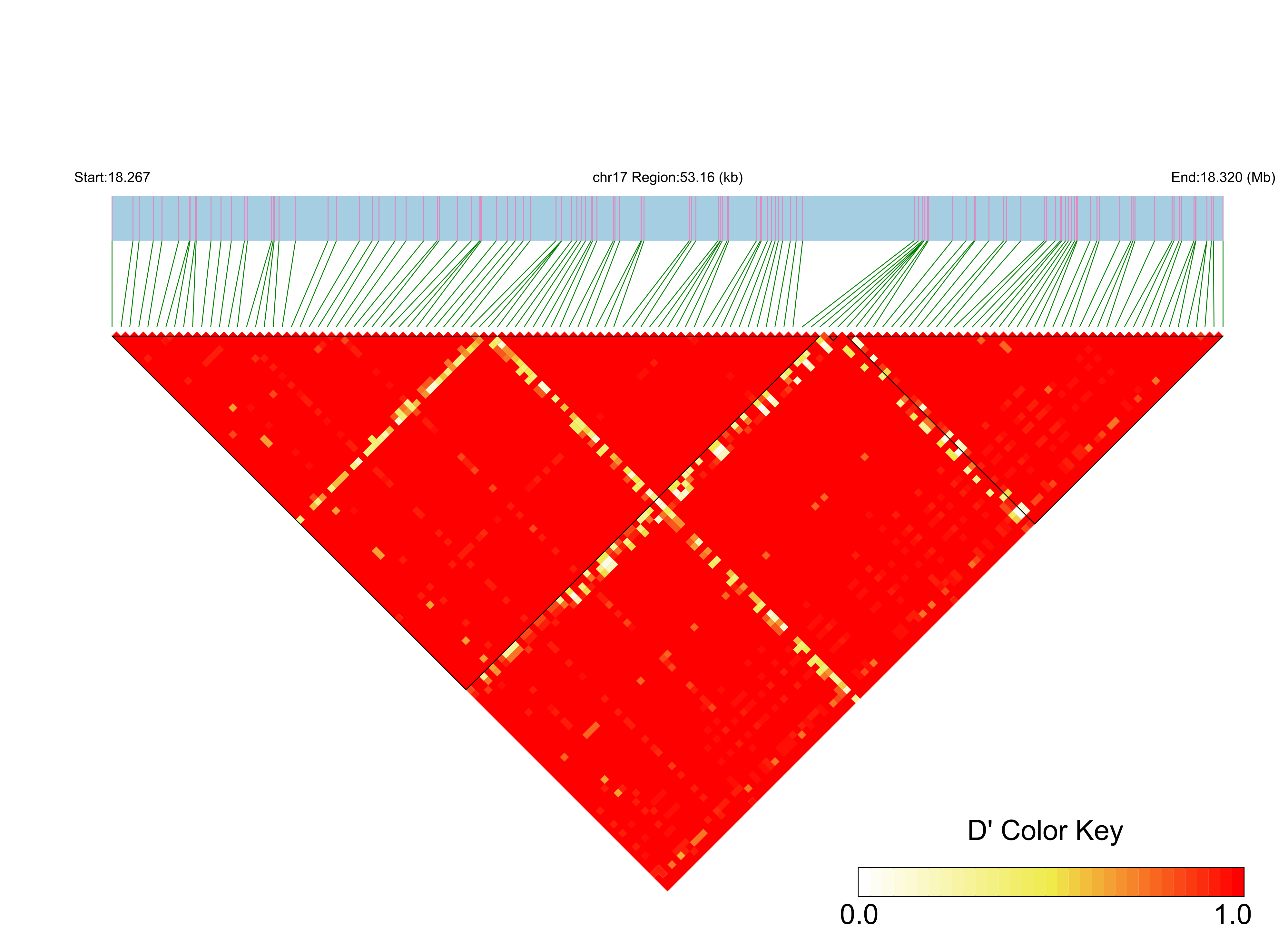 LD