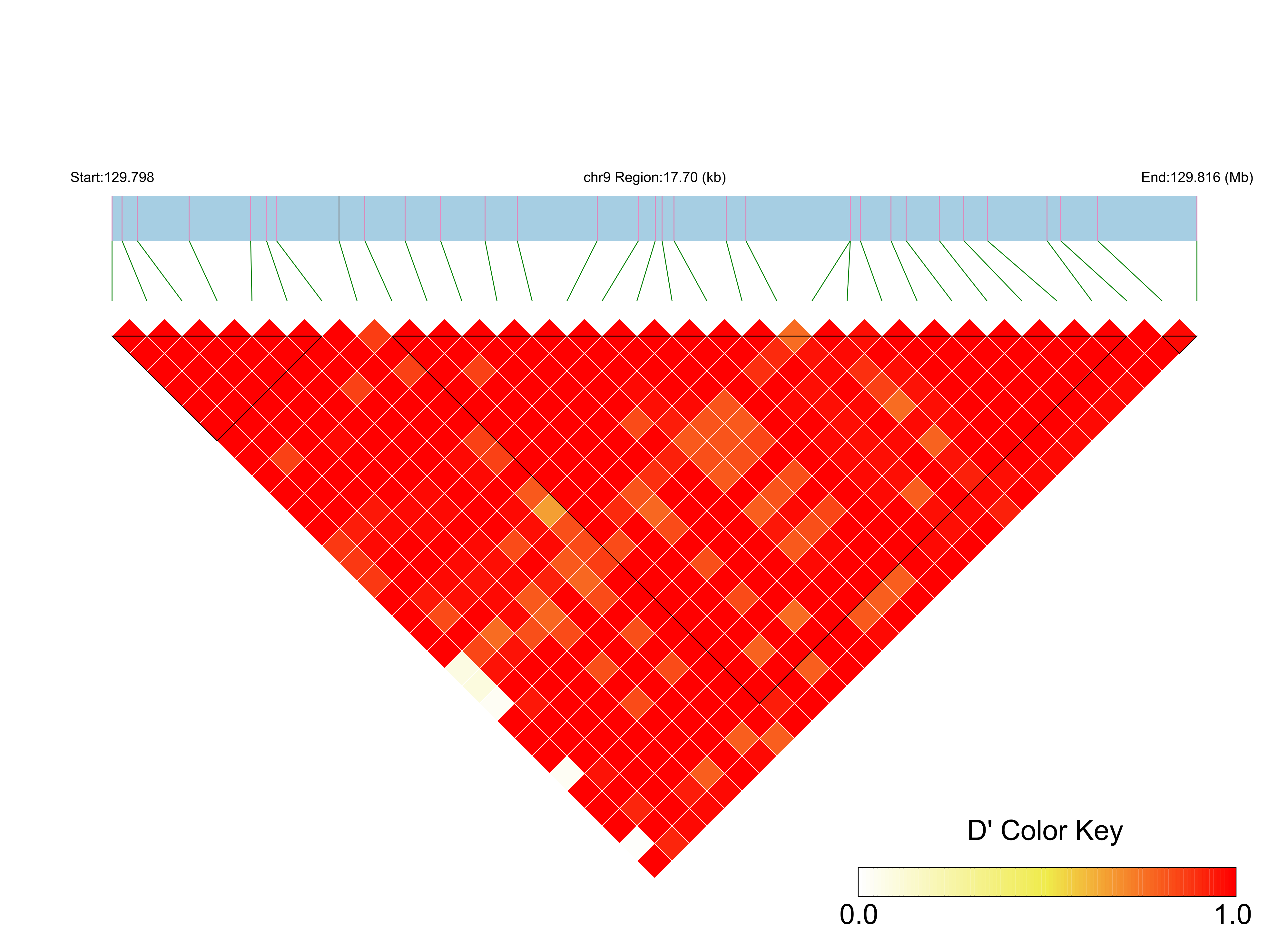 LD