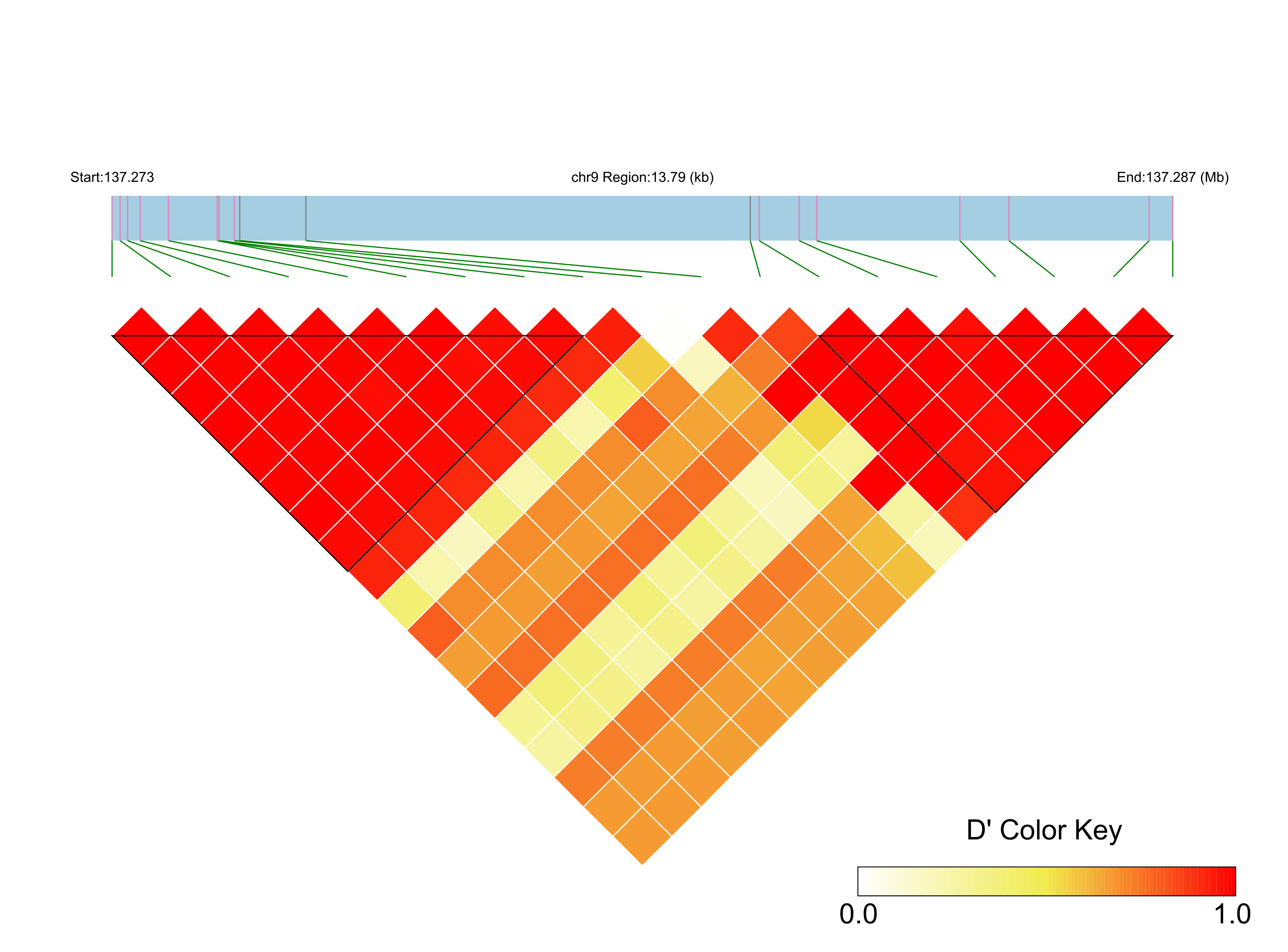 LD