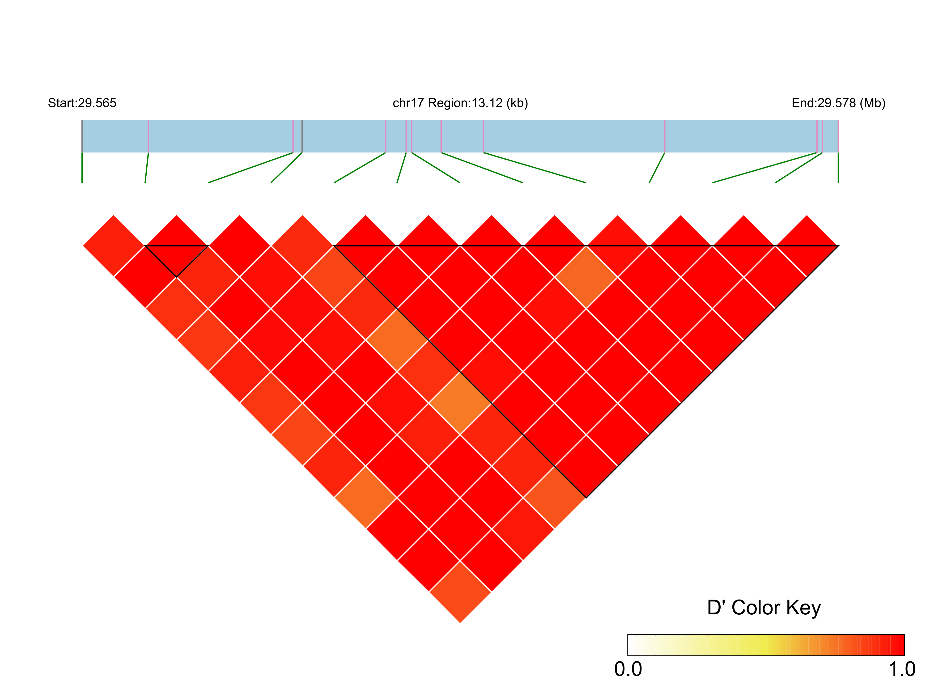 LD