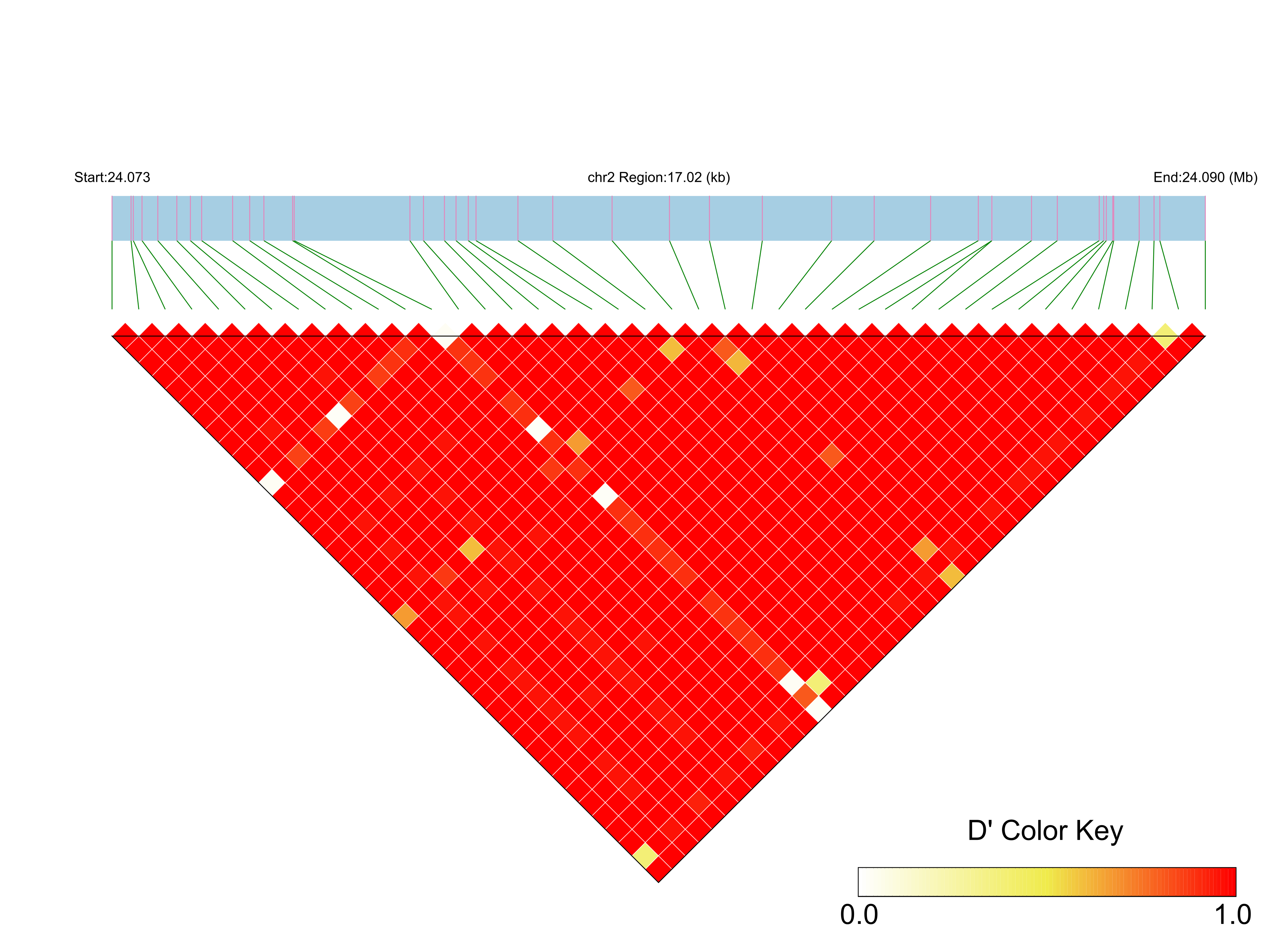 LD