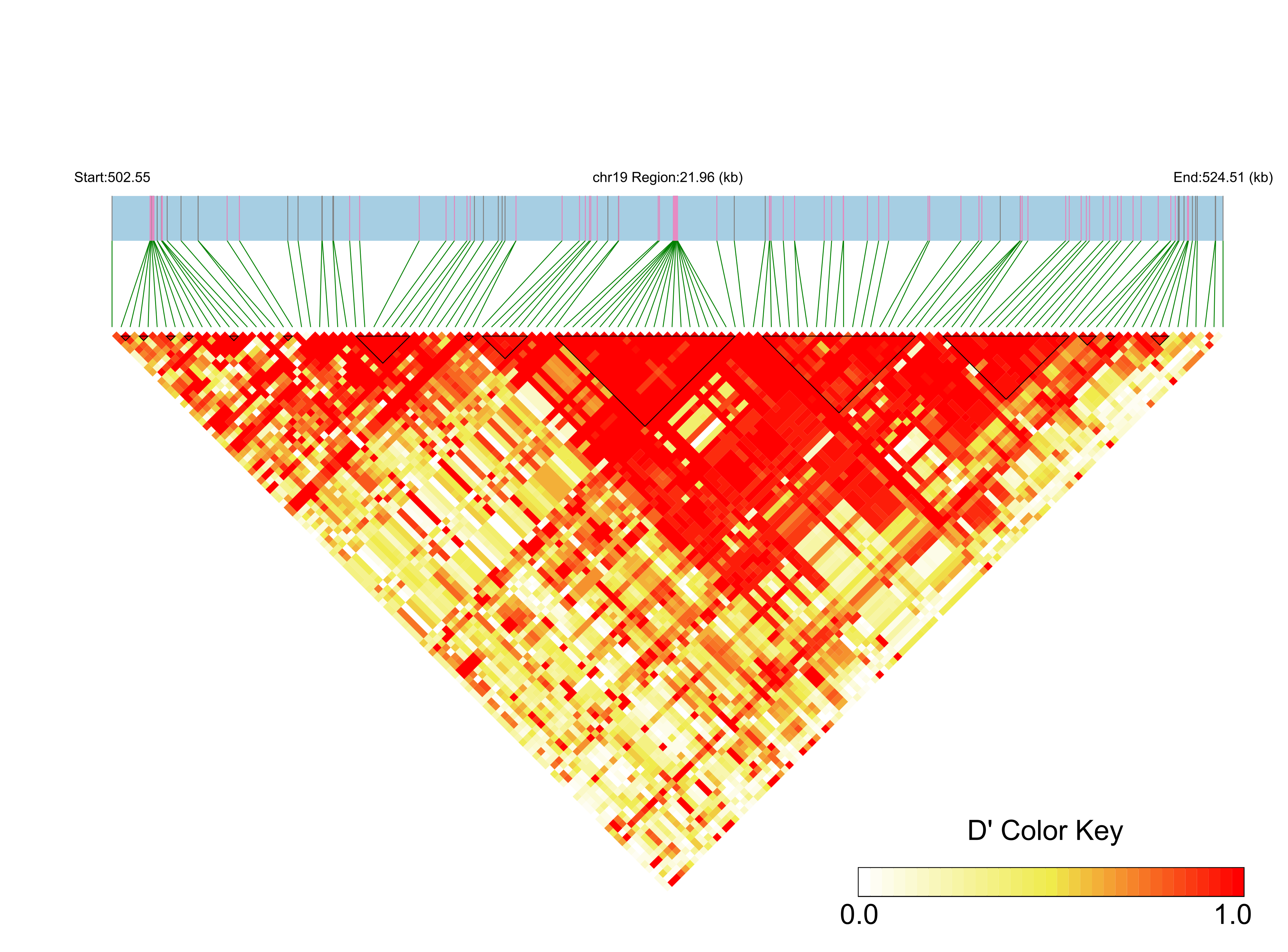LD