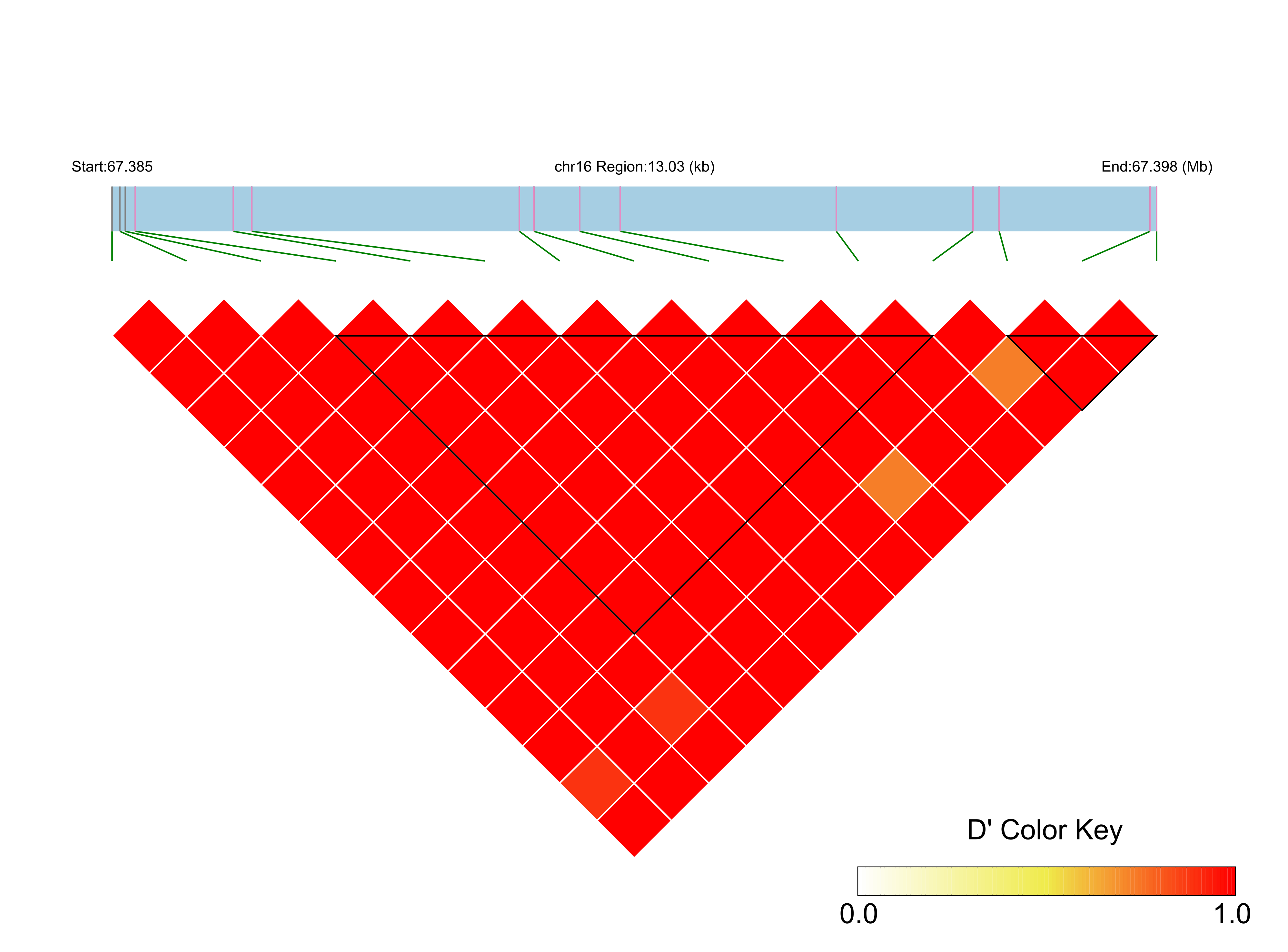 LD
