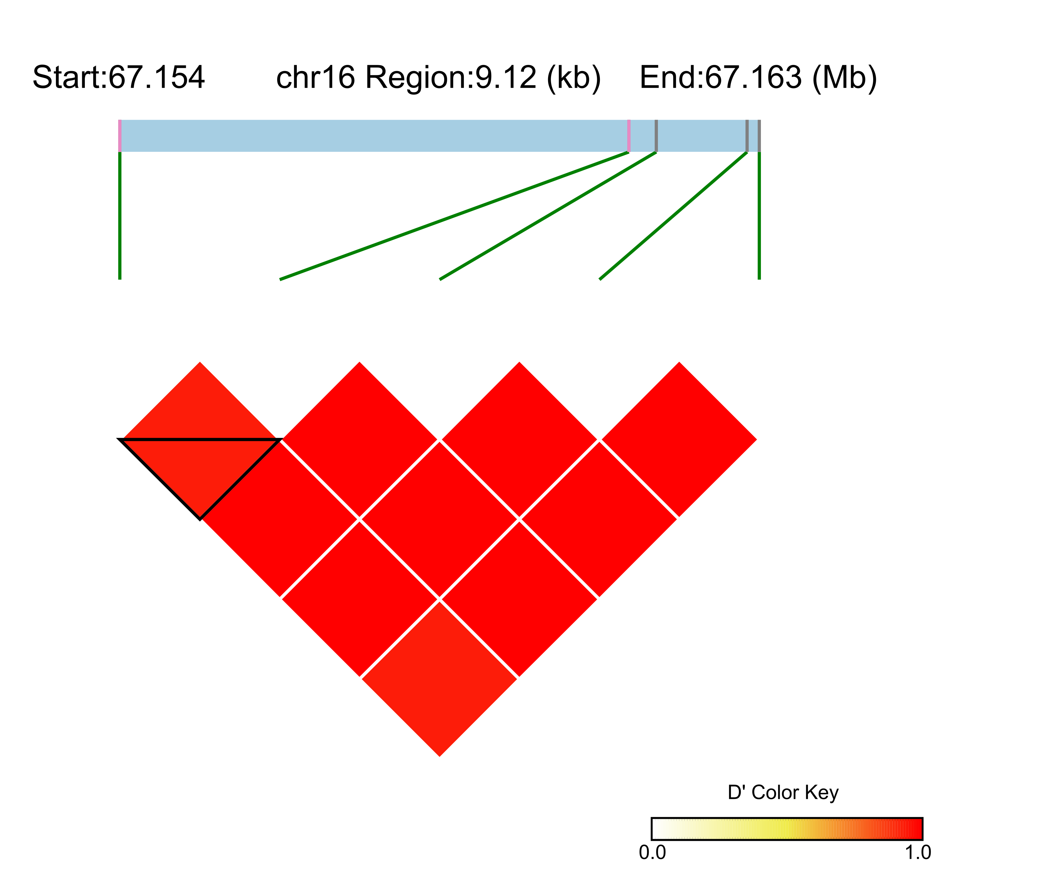 LD