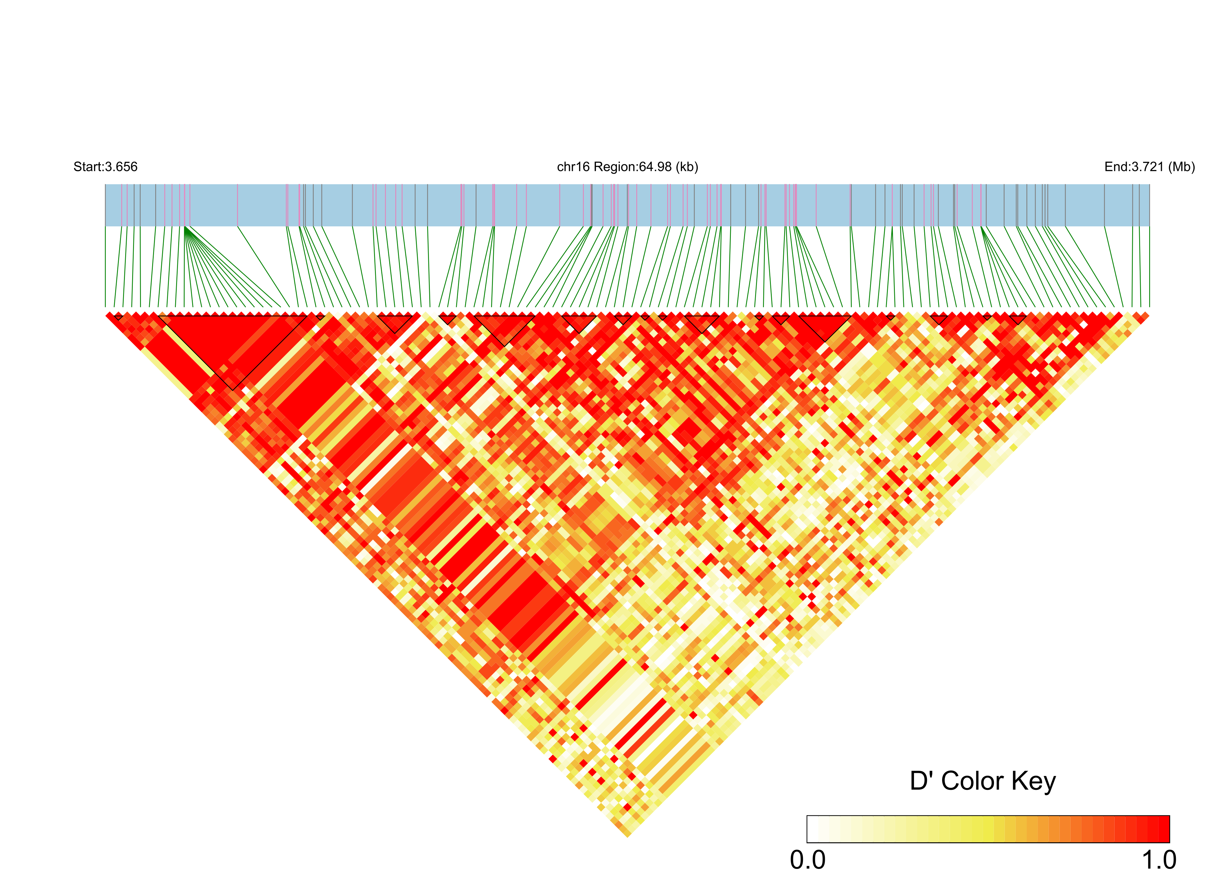 LD