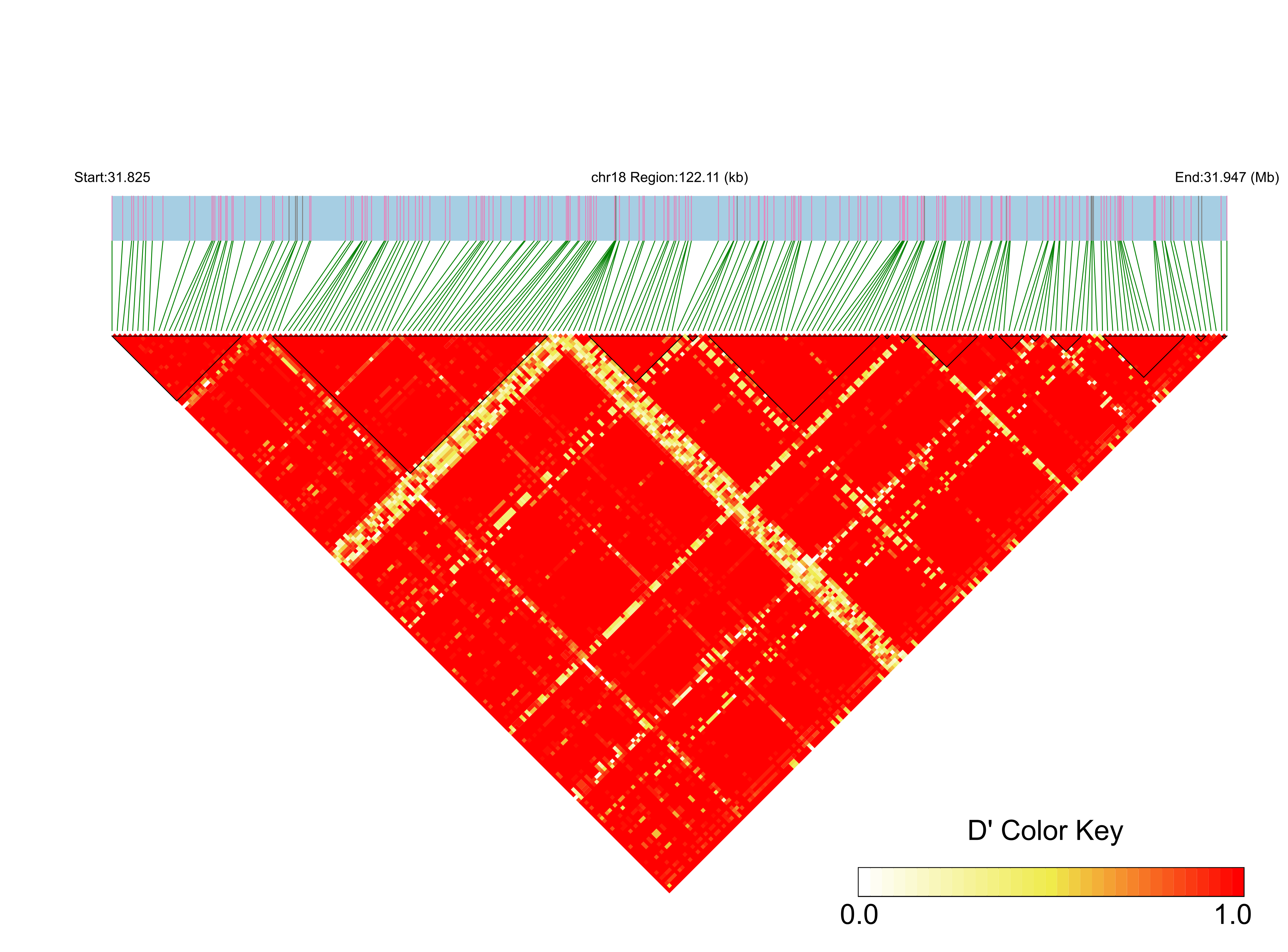 LD