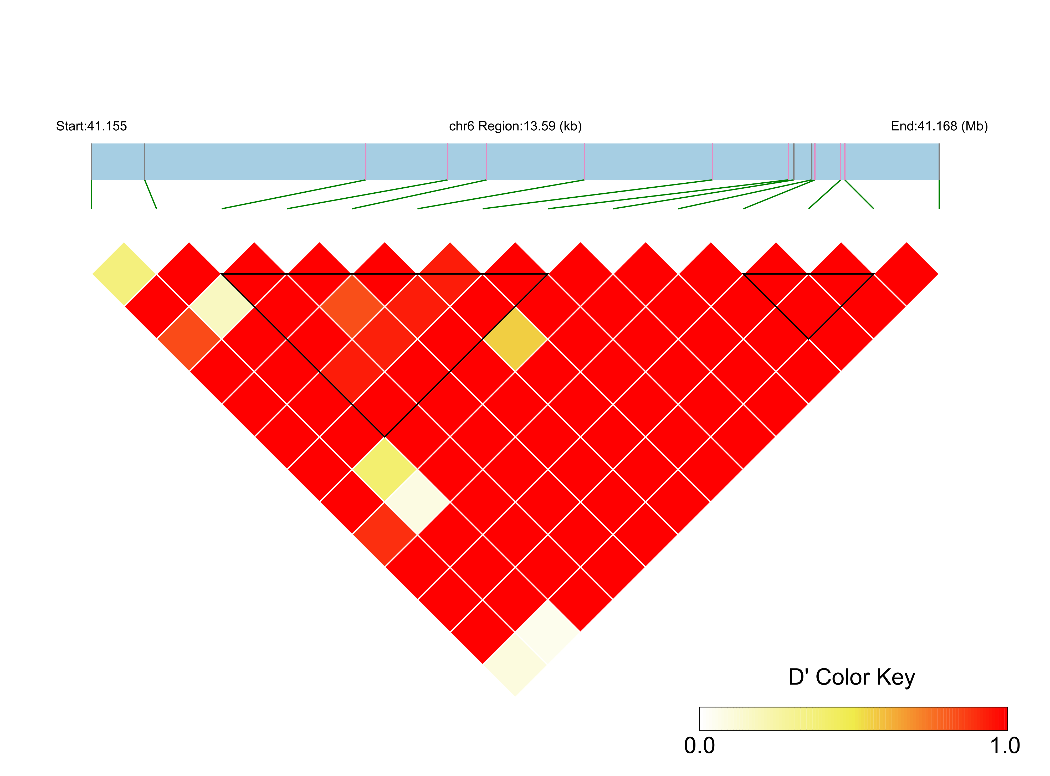 LD