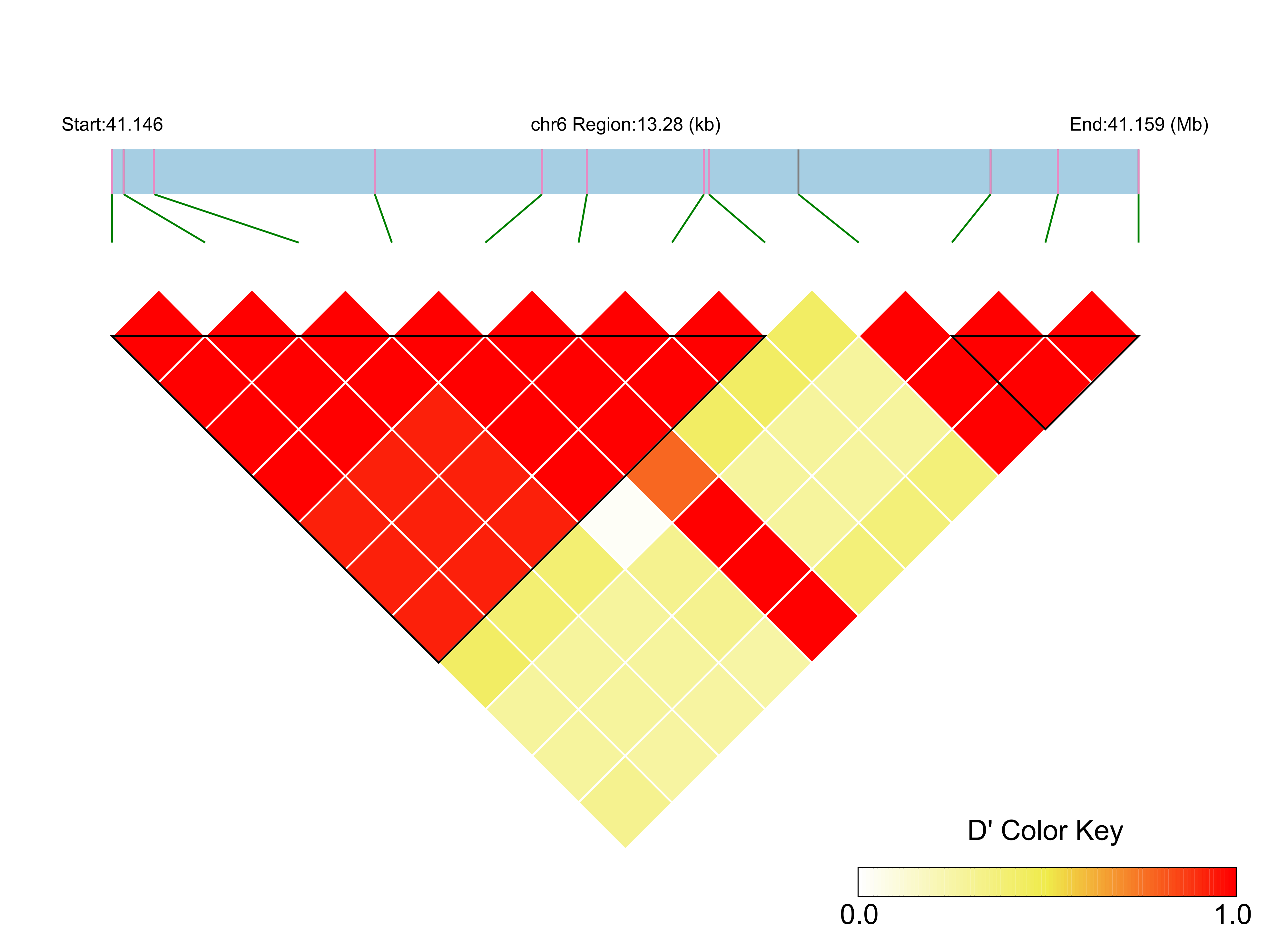 LD