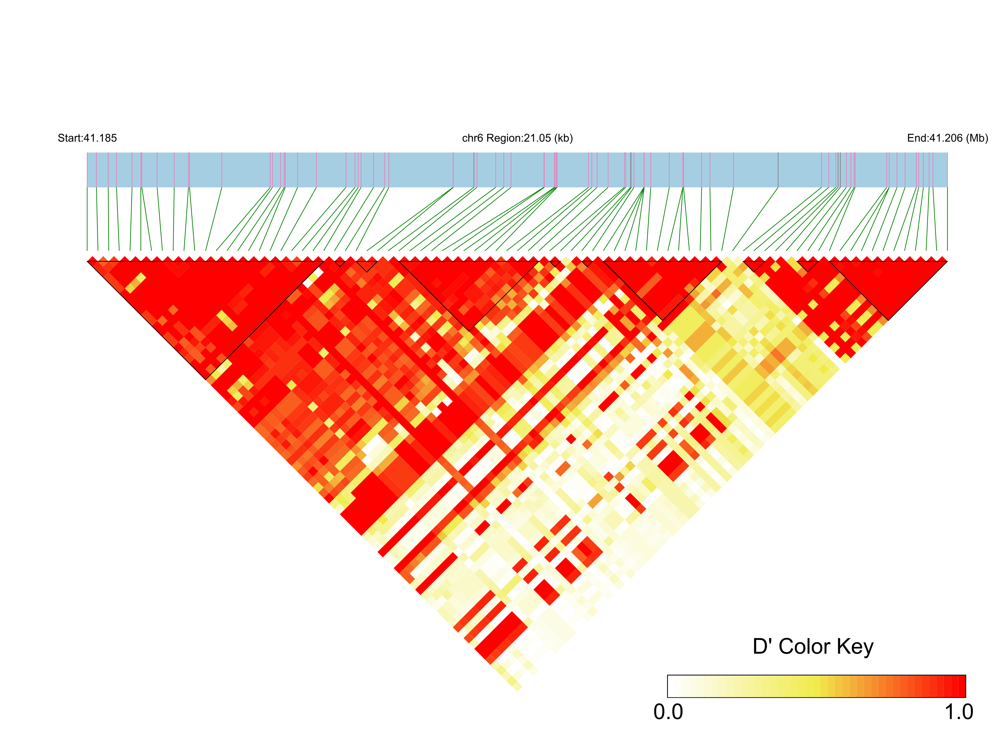 LD