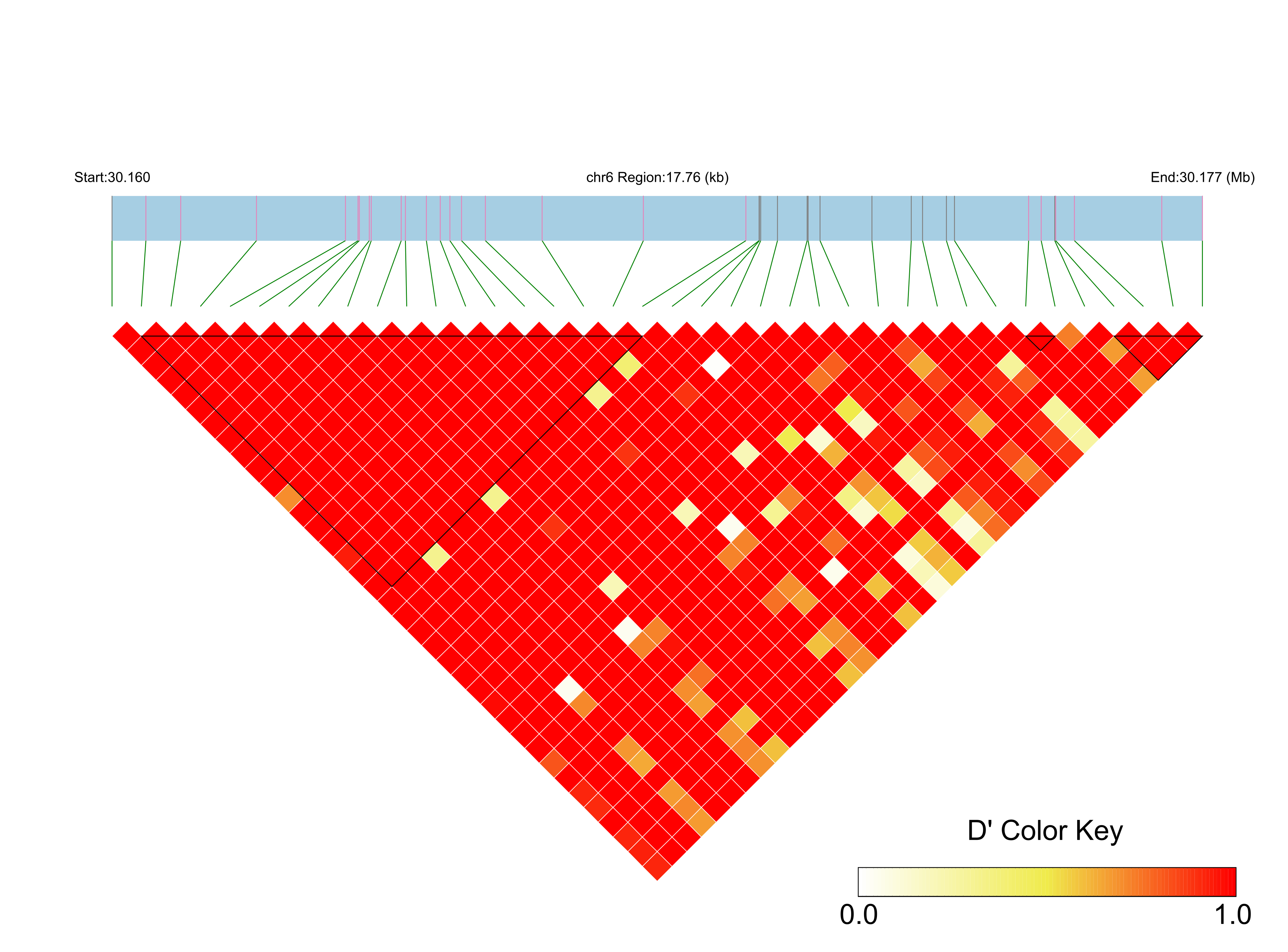 LD