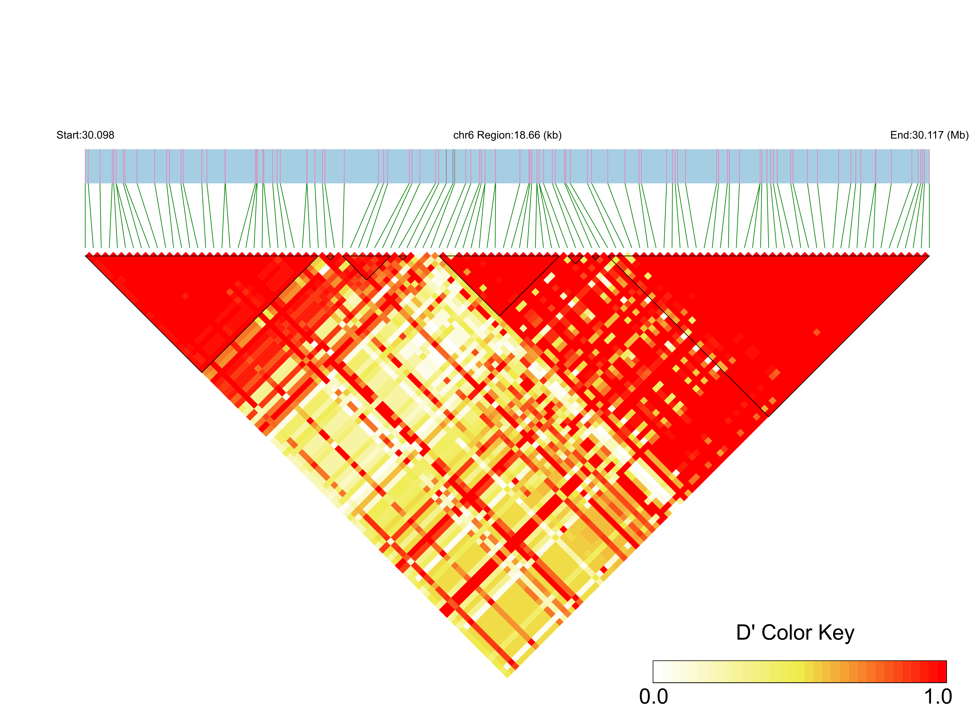 LD