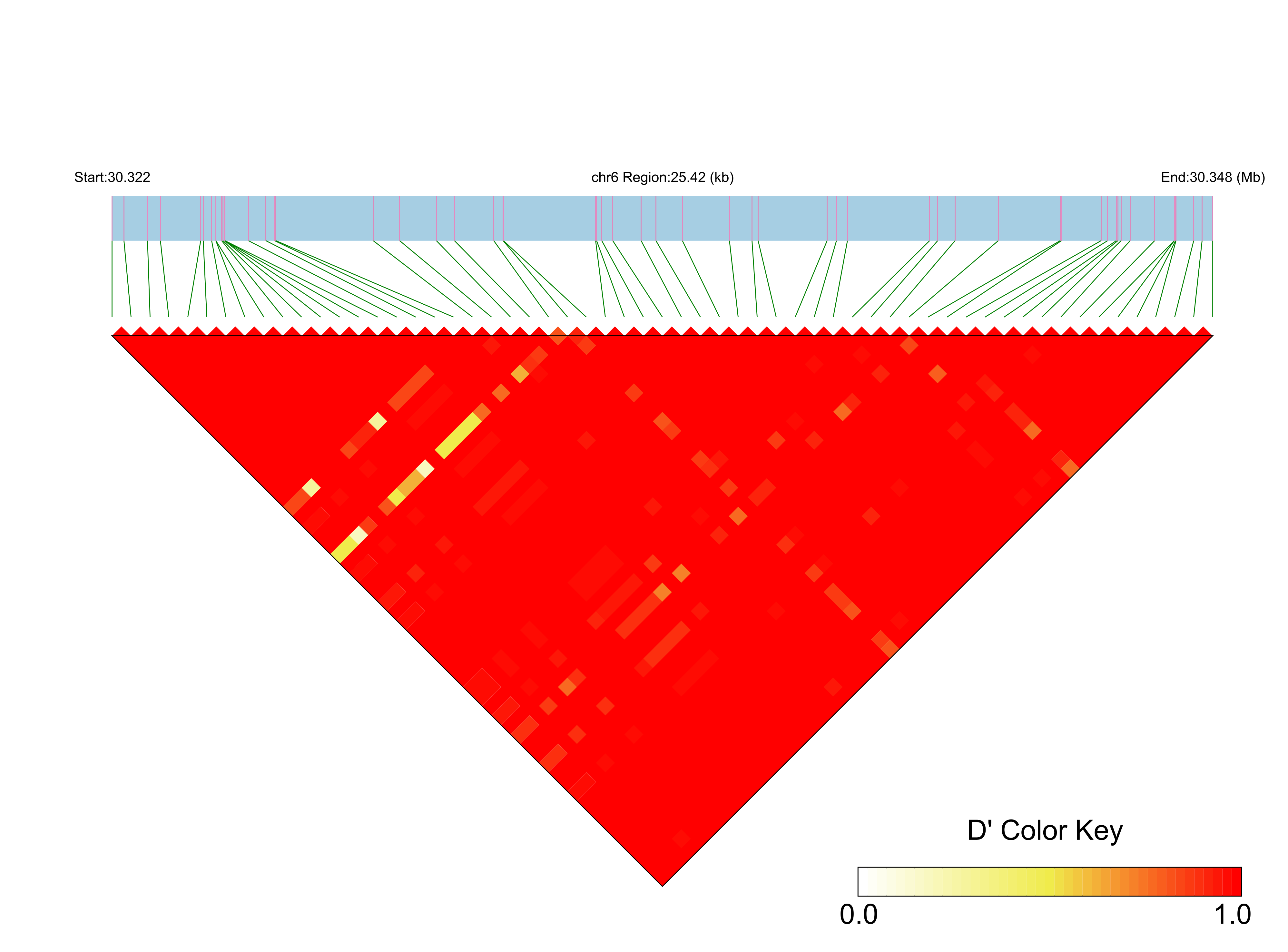 LD