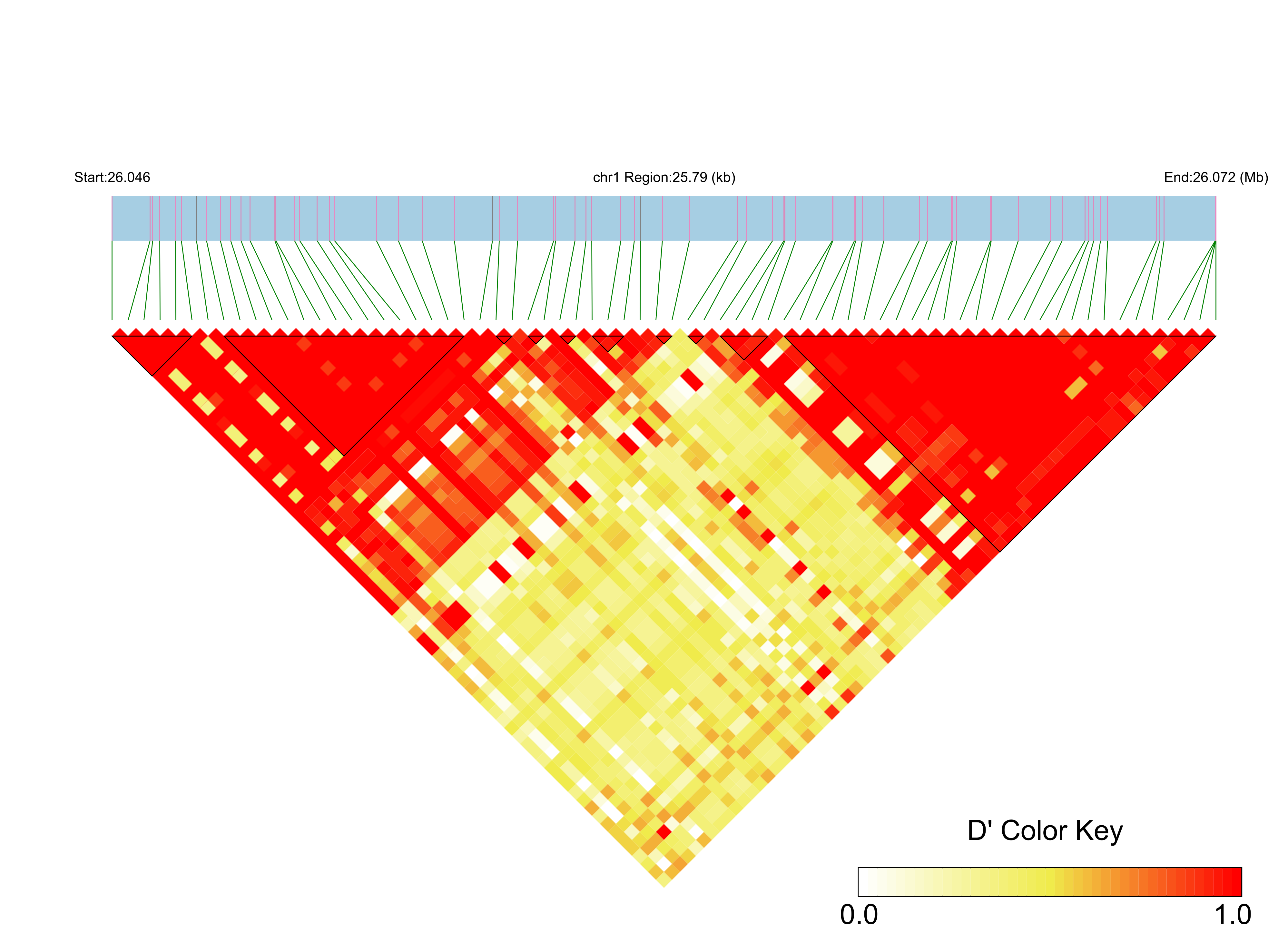 LD