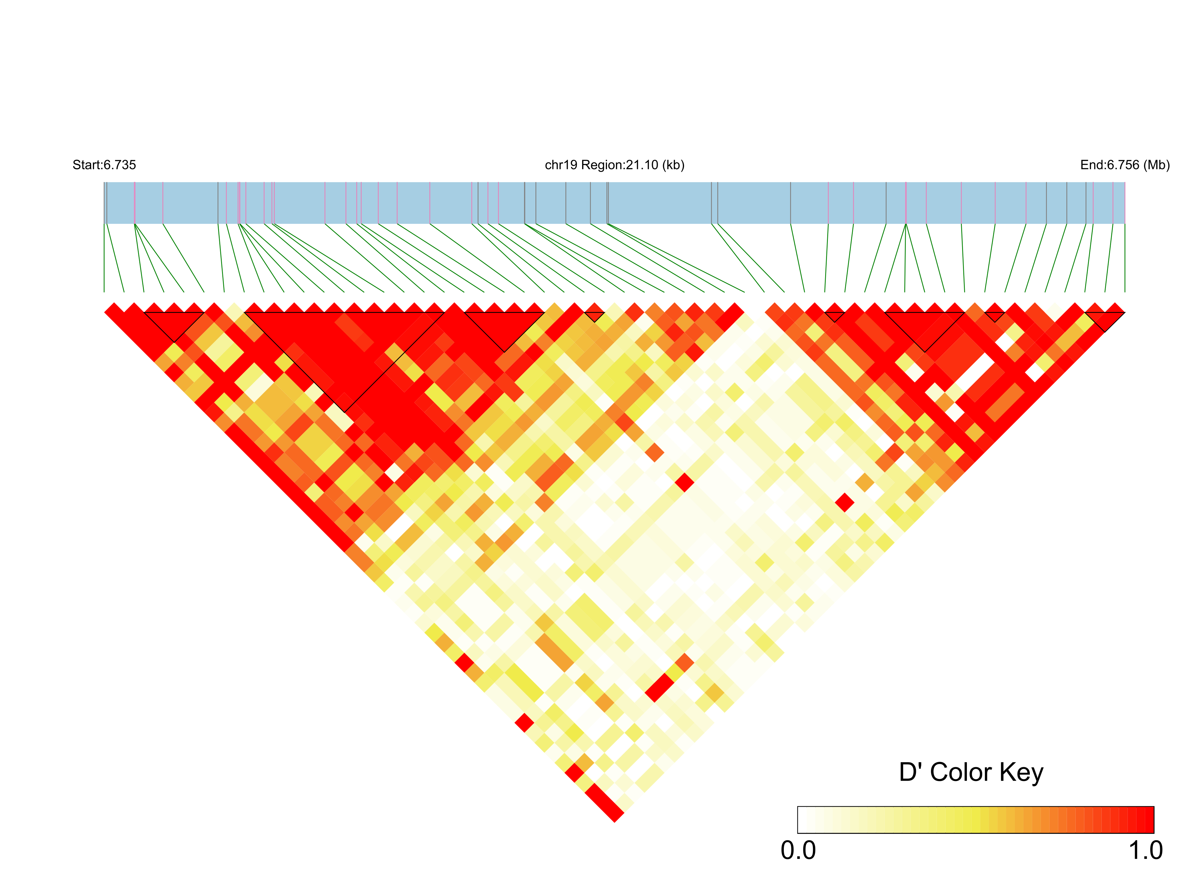LD