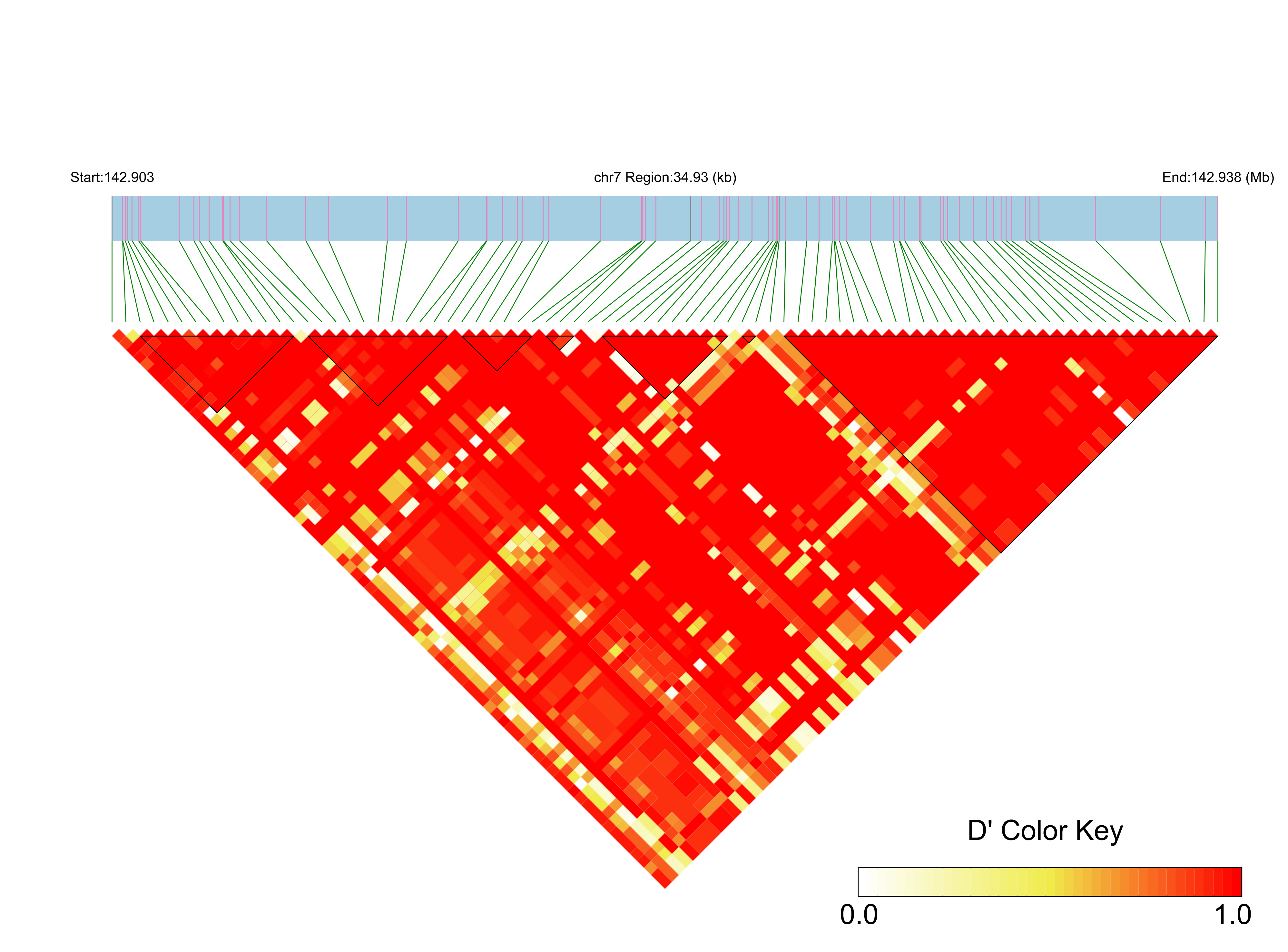 LD