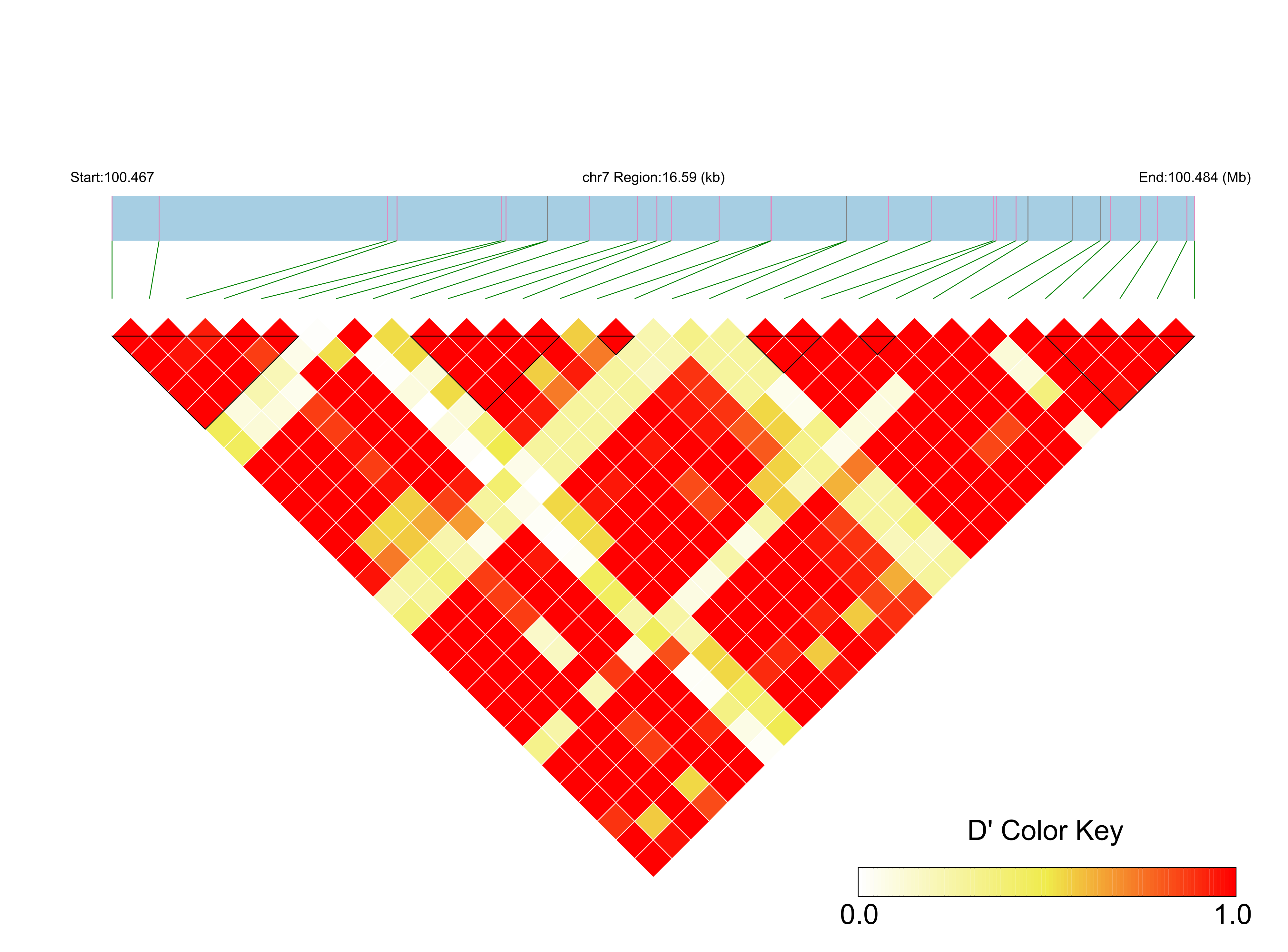 LD