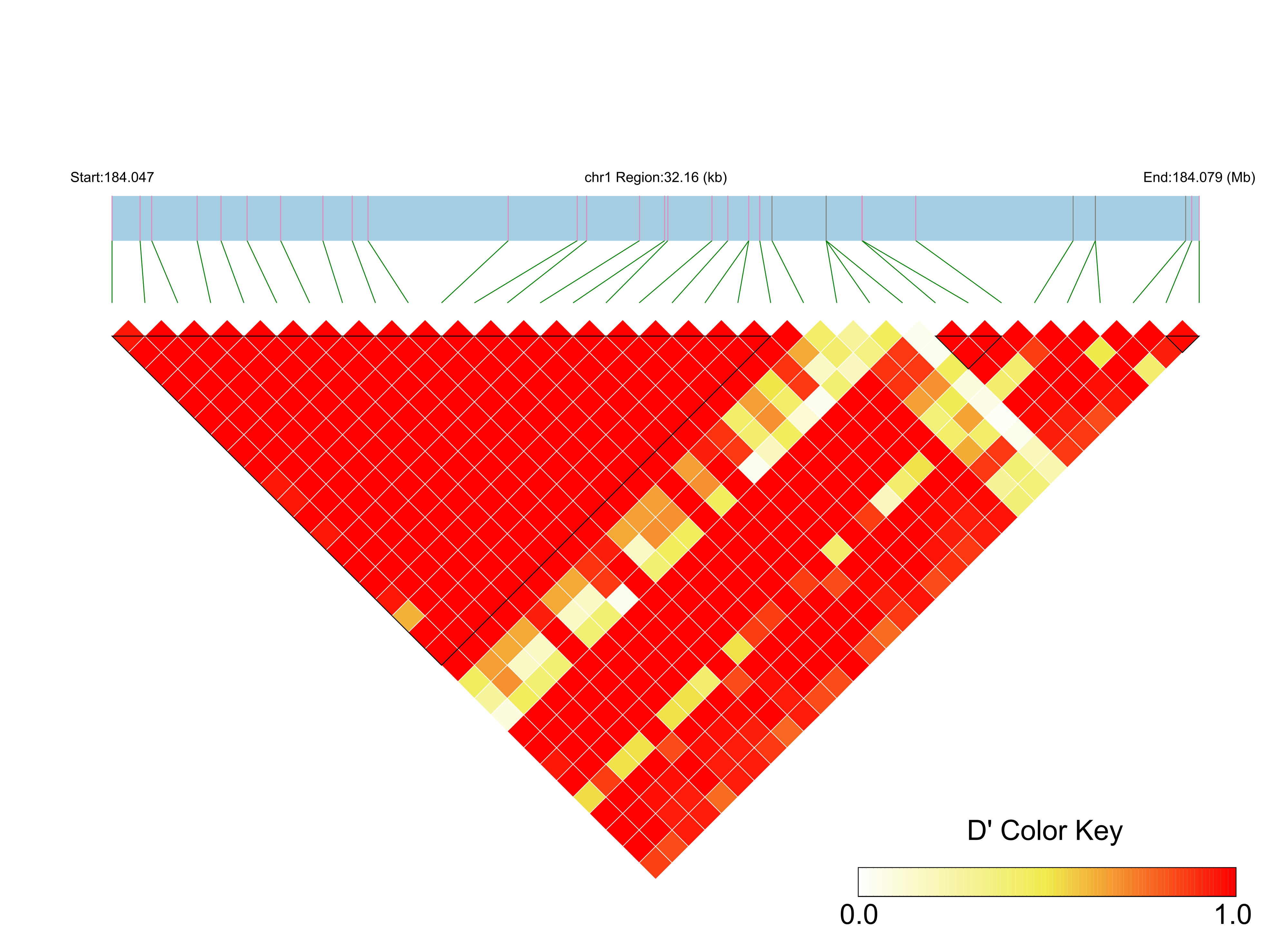 LD