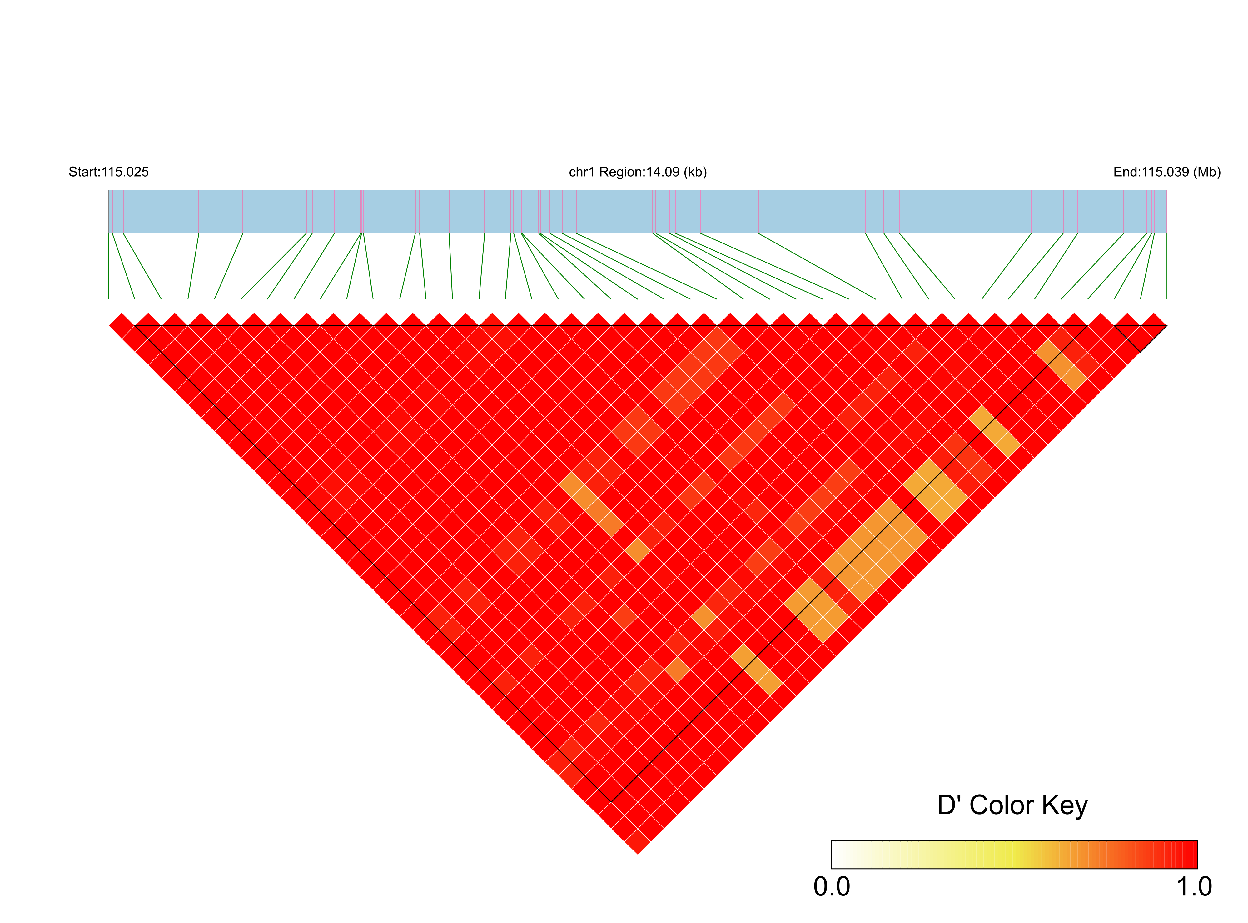 LD