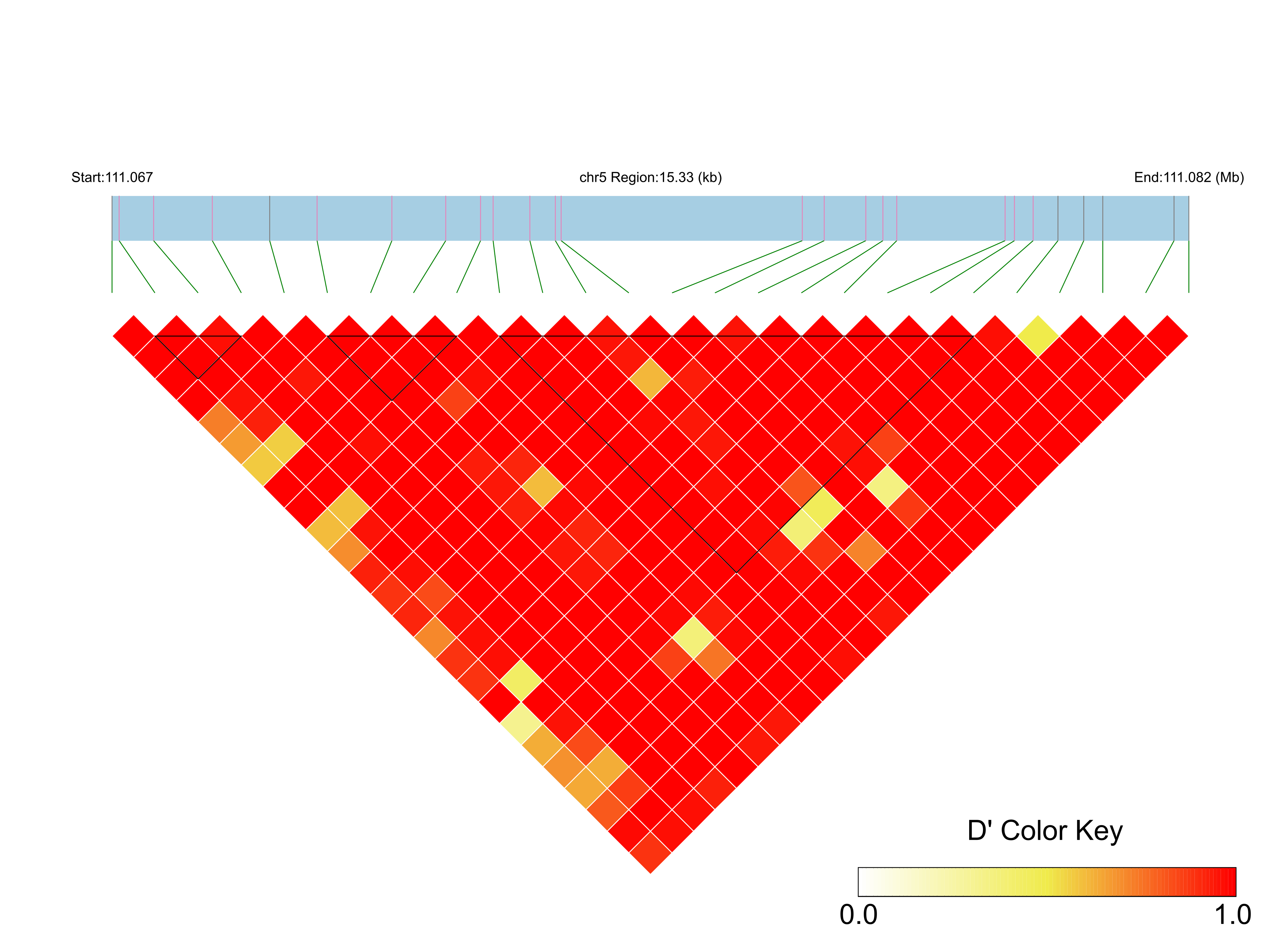 LD
