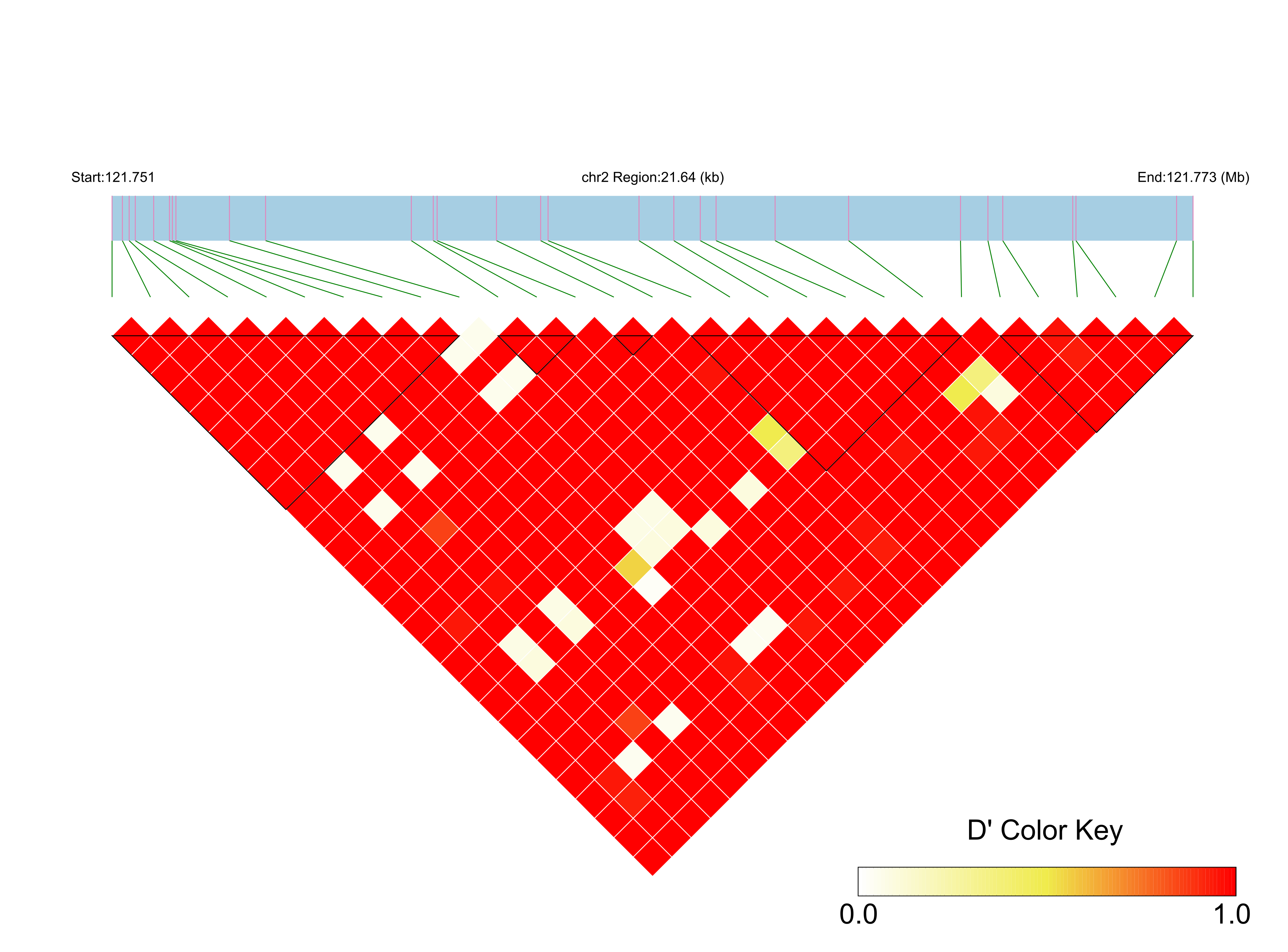 LD