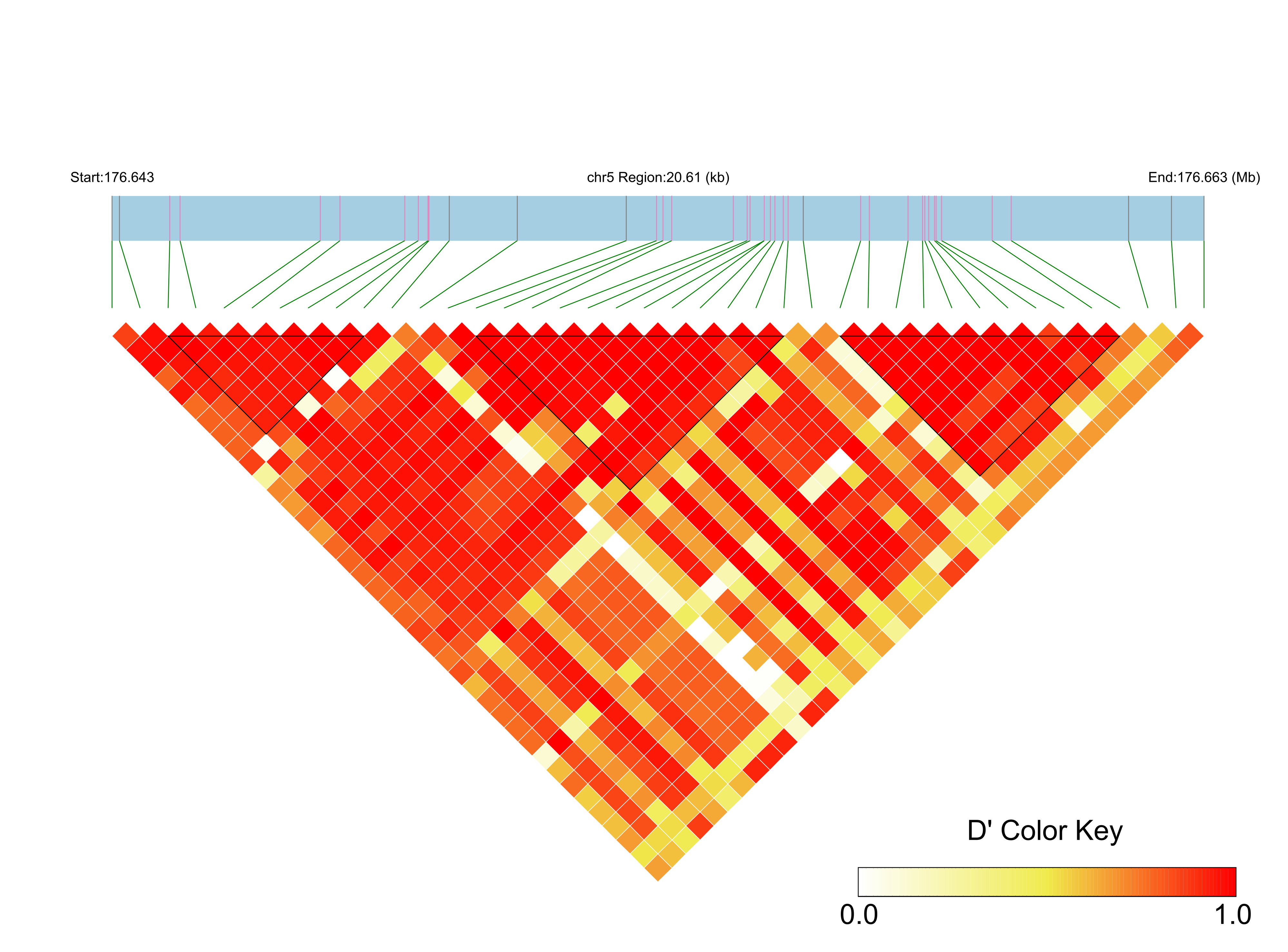 LD
