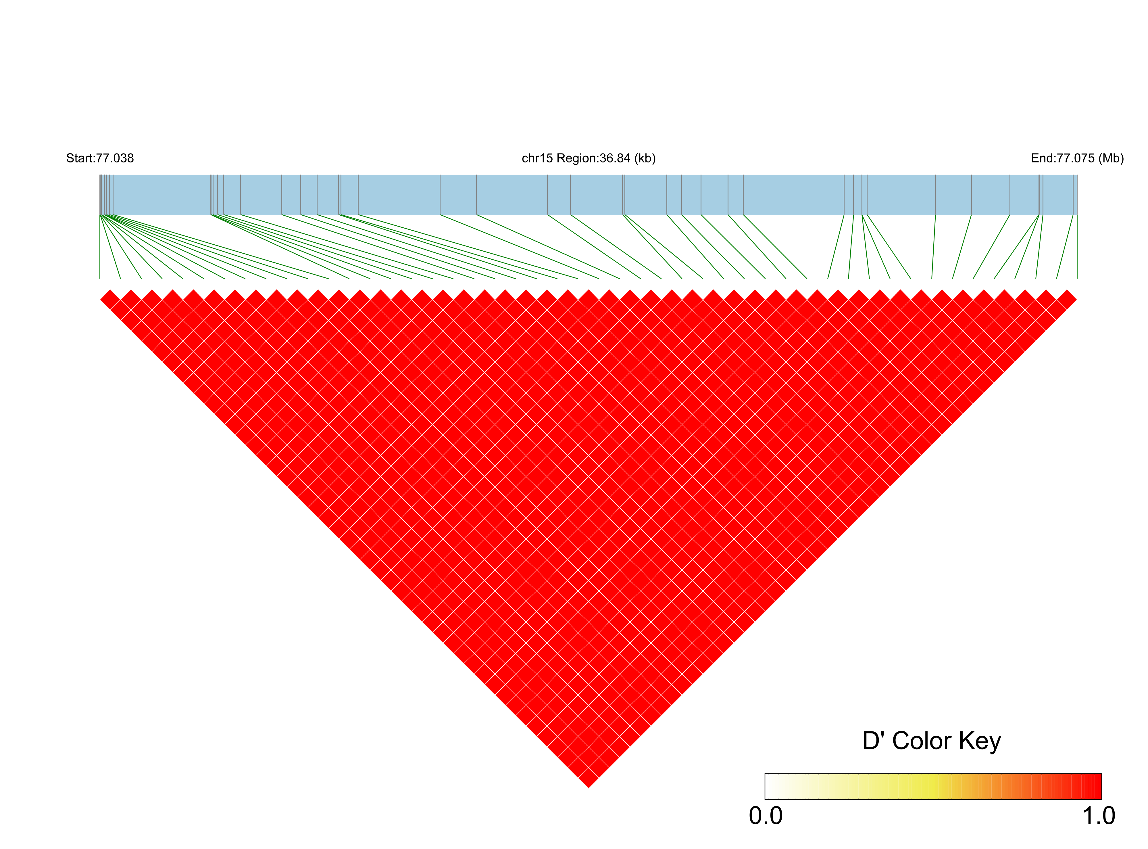 LD