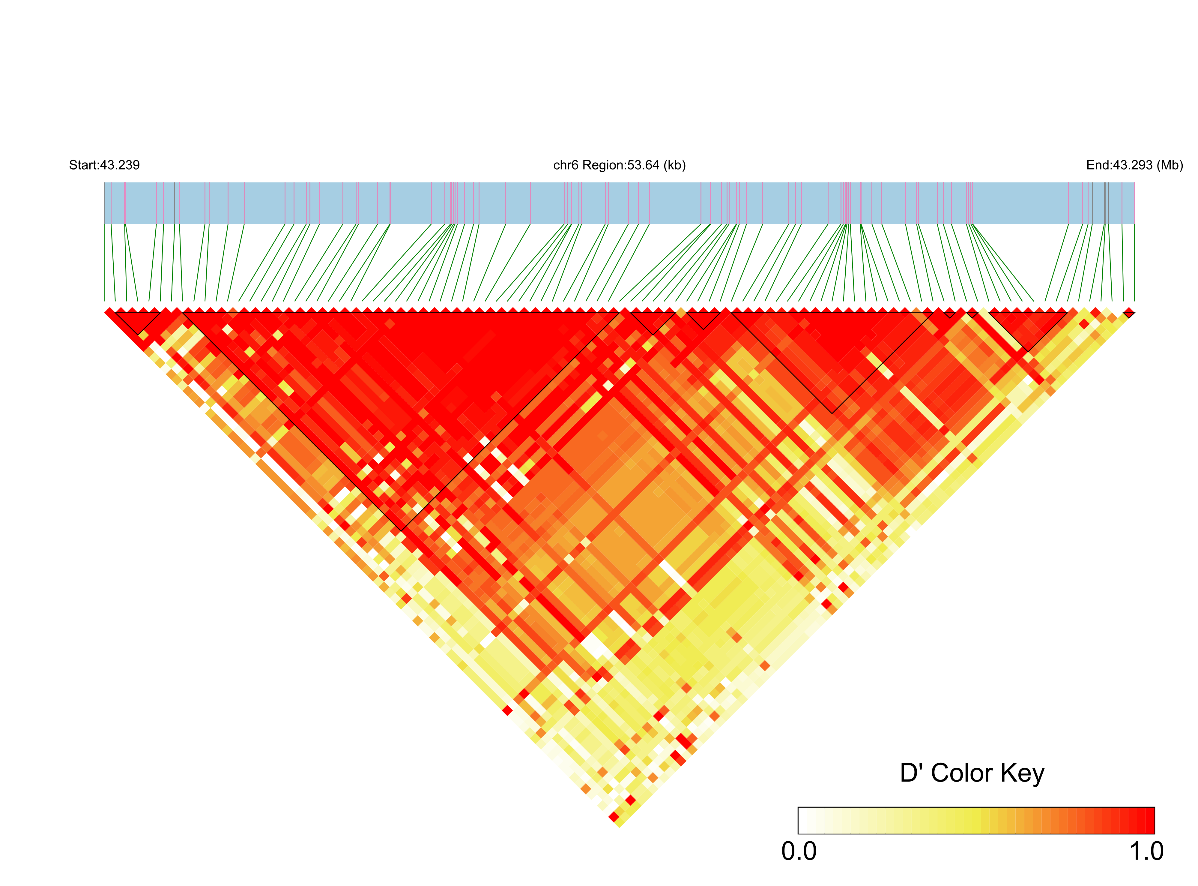 LD