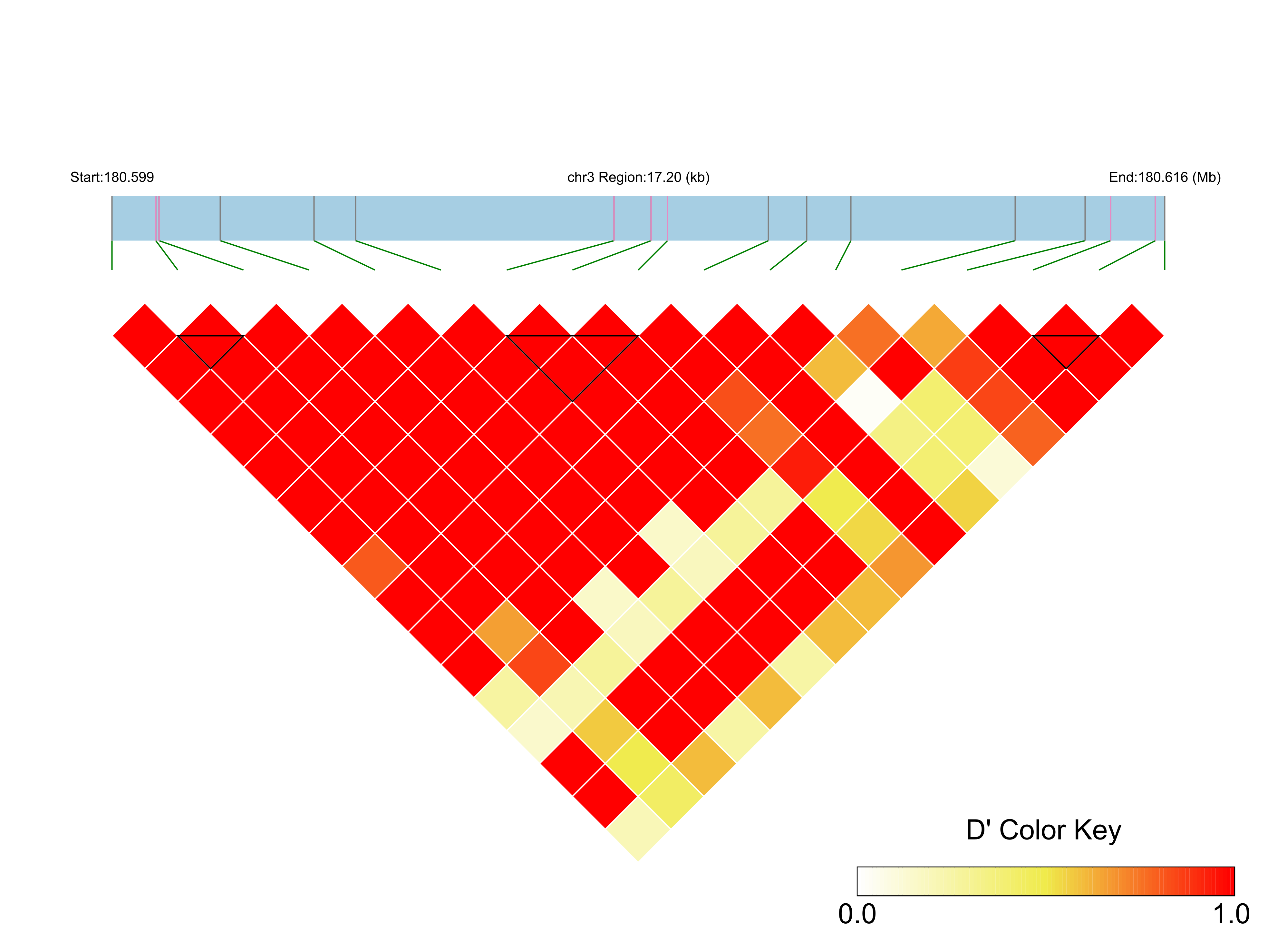 LD