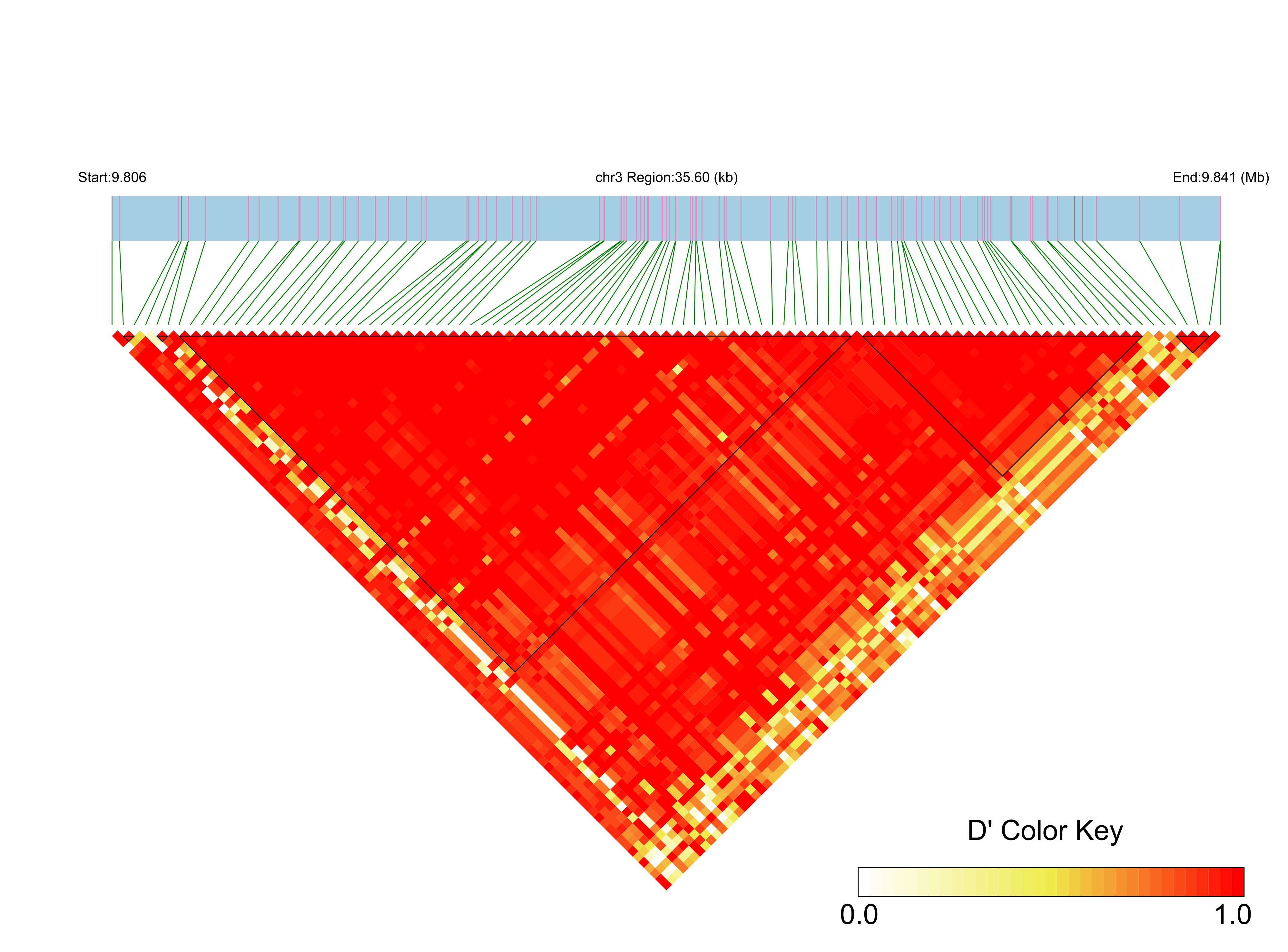 LD
