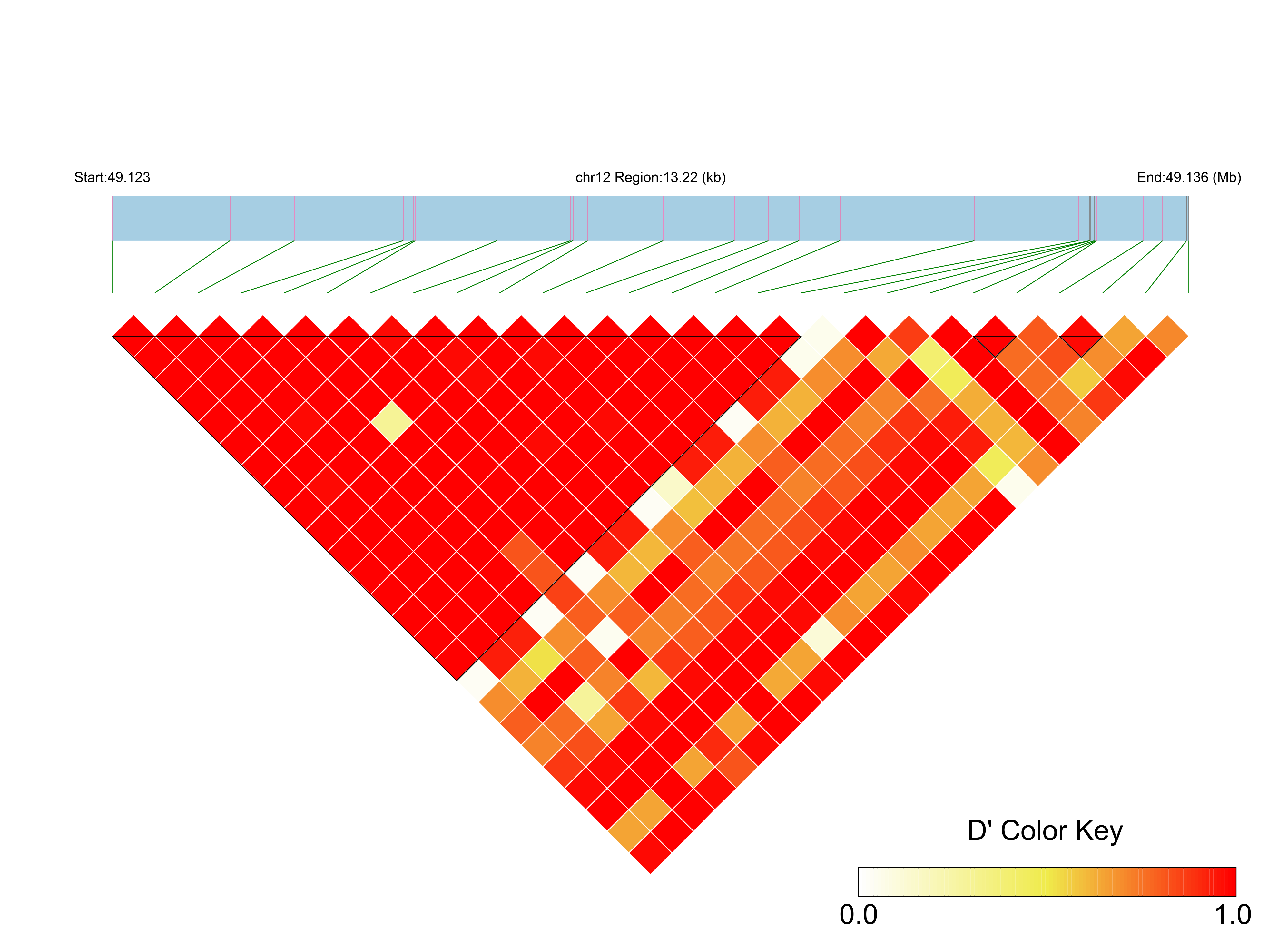 LD