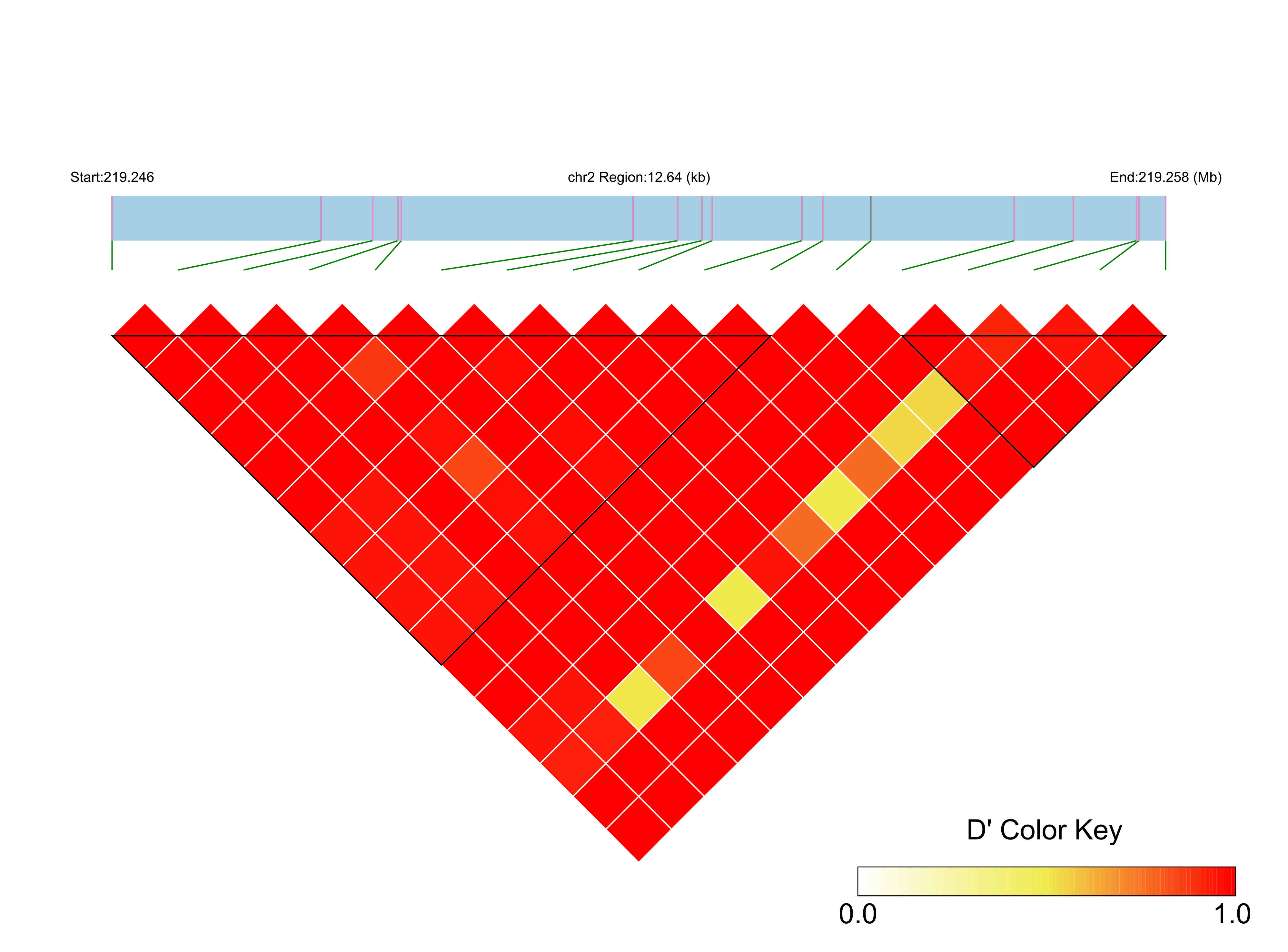 LD