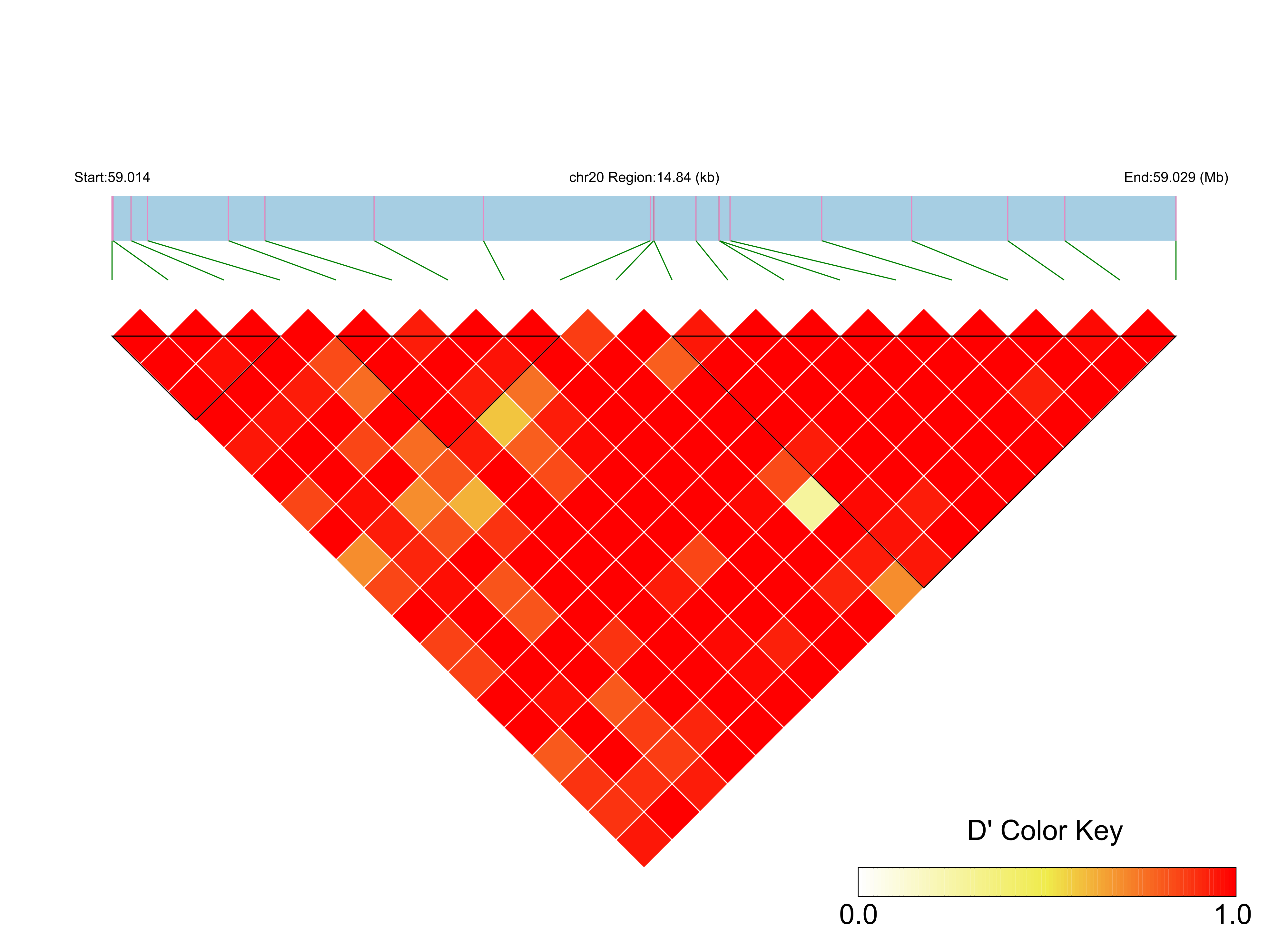 LD