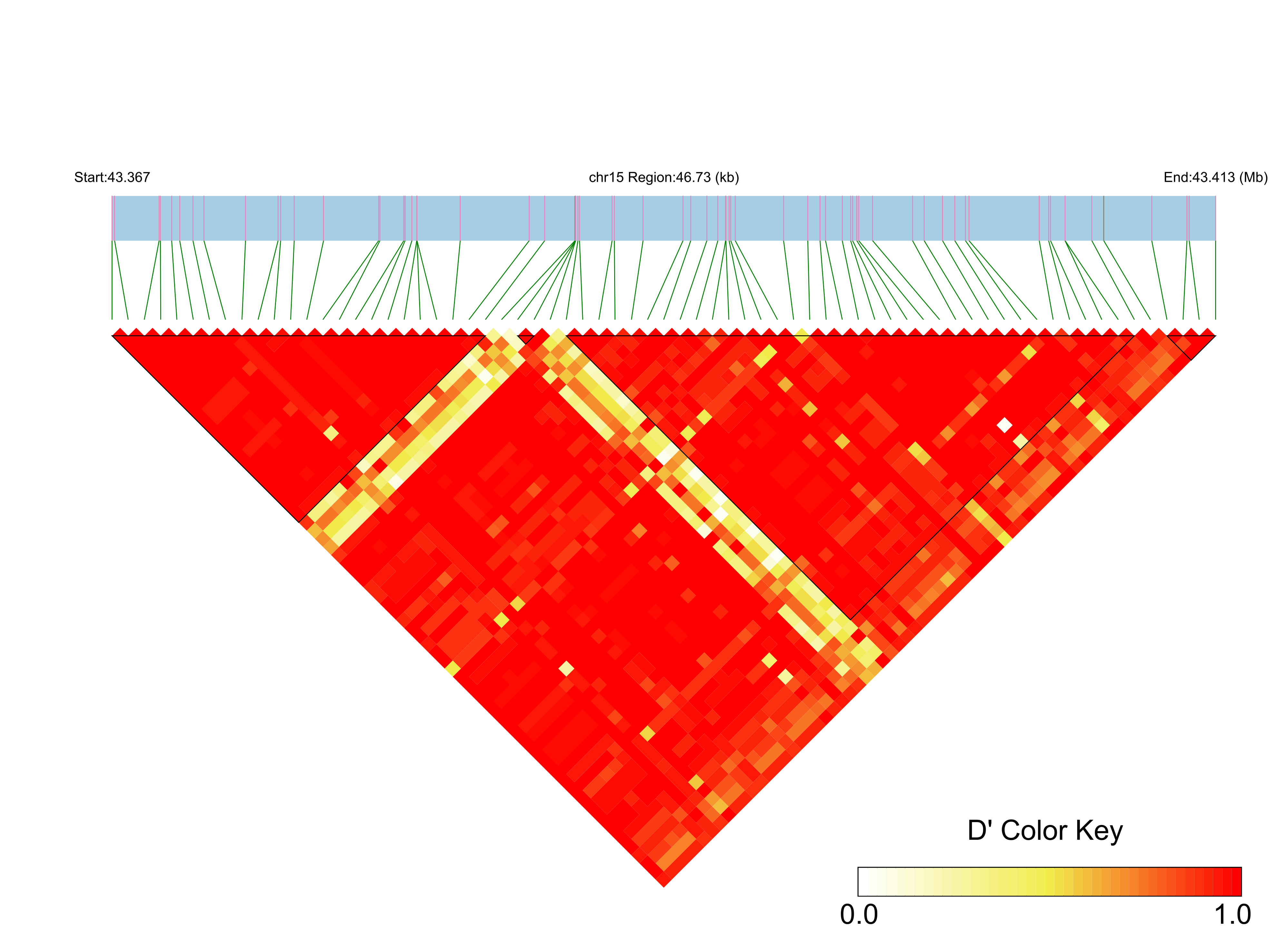 LD