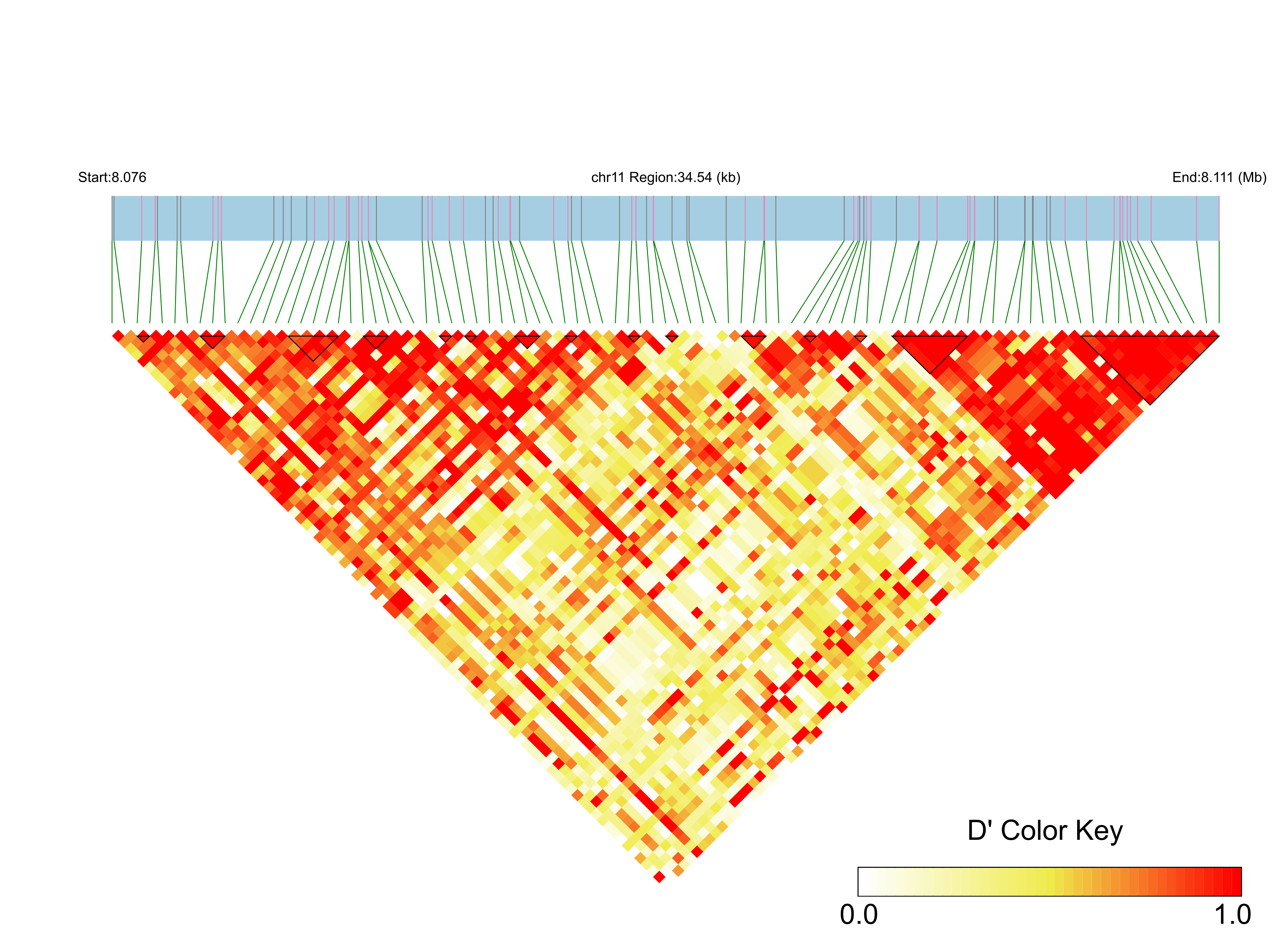 LD