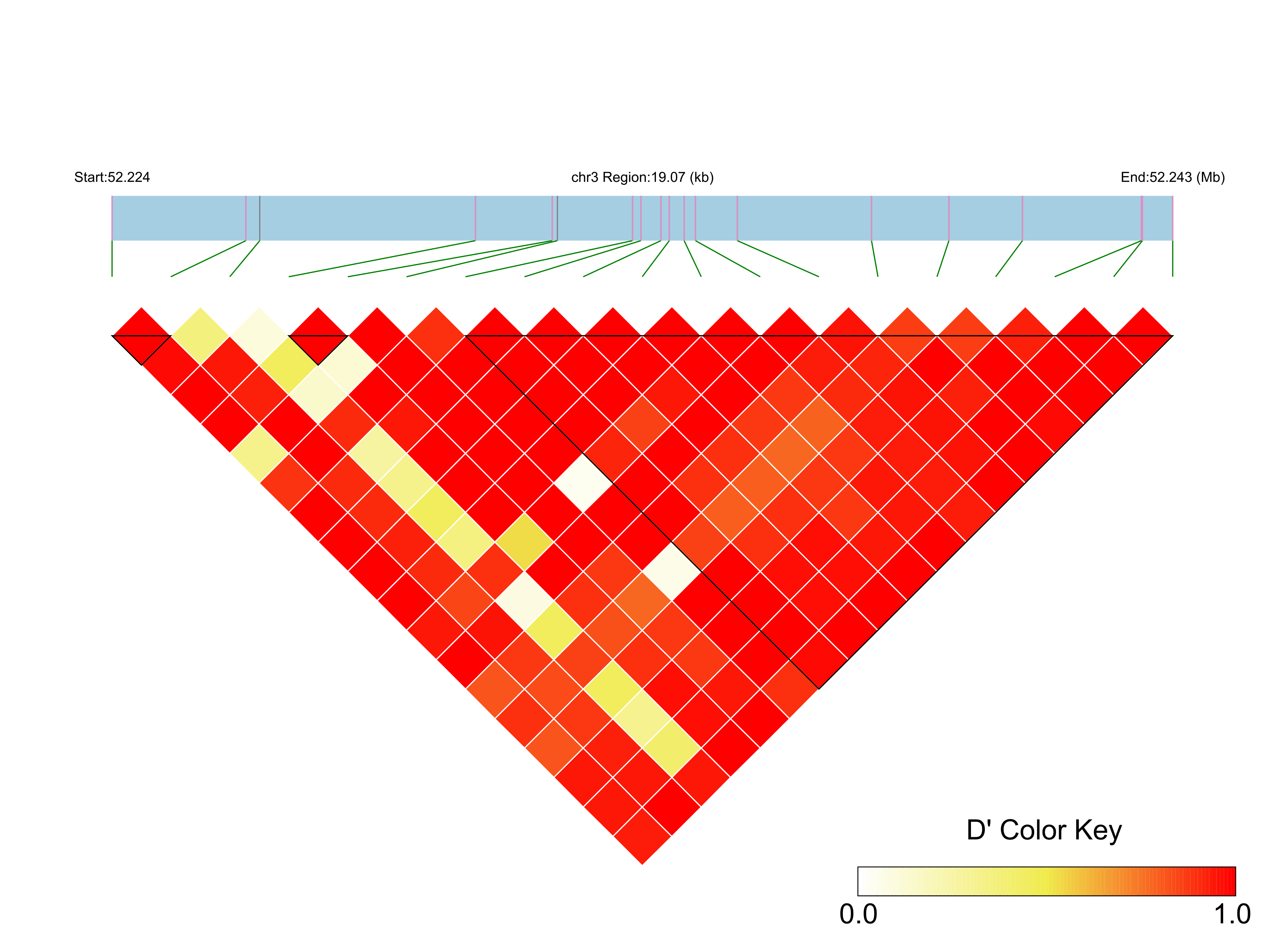LD