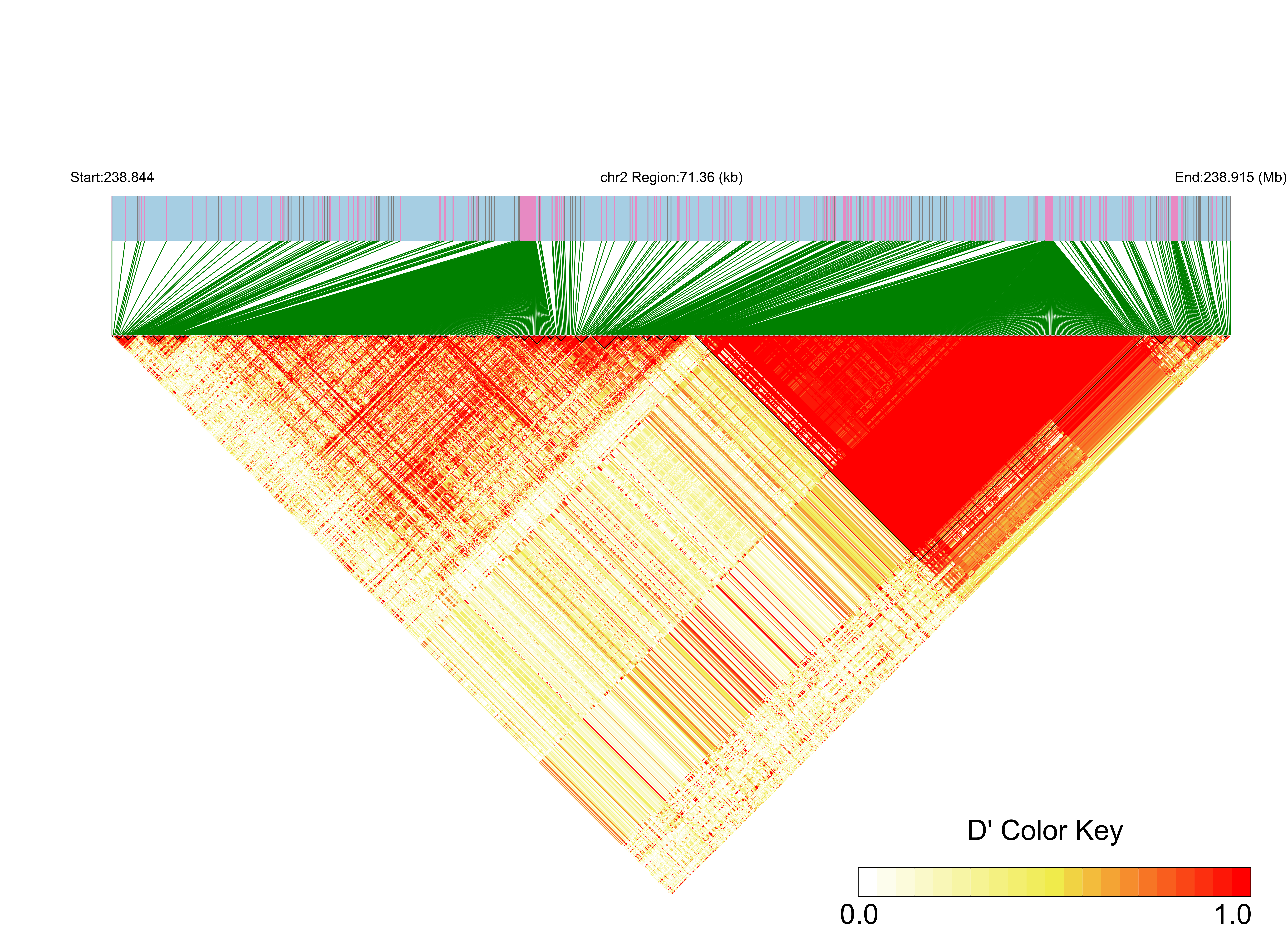 LD