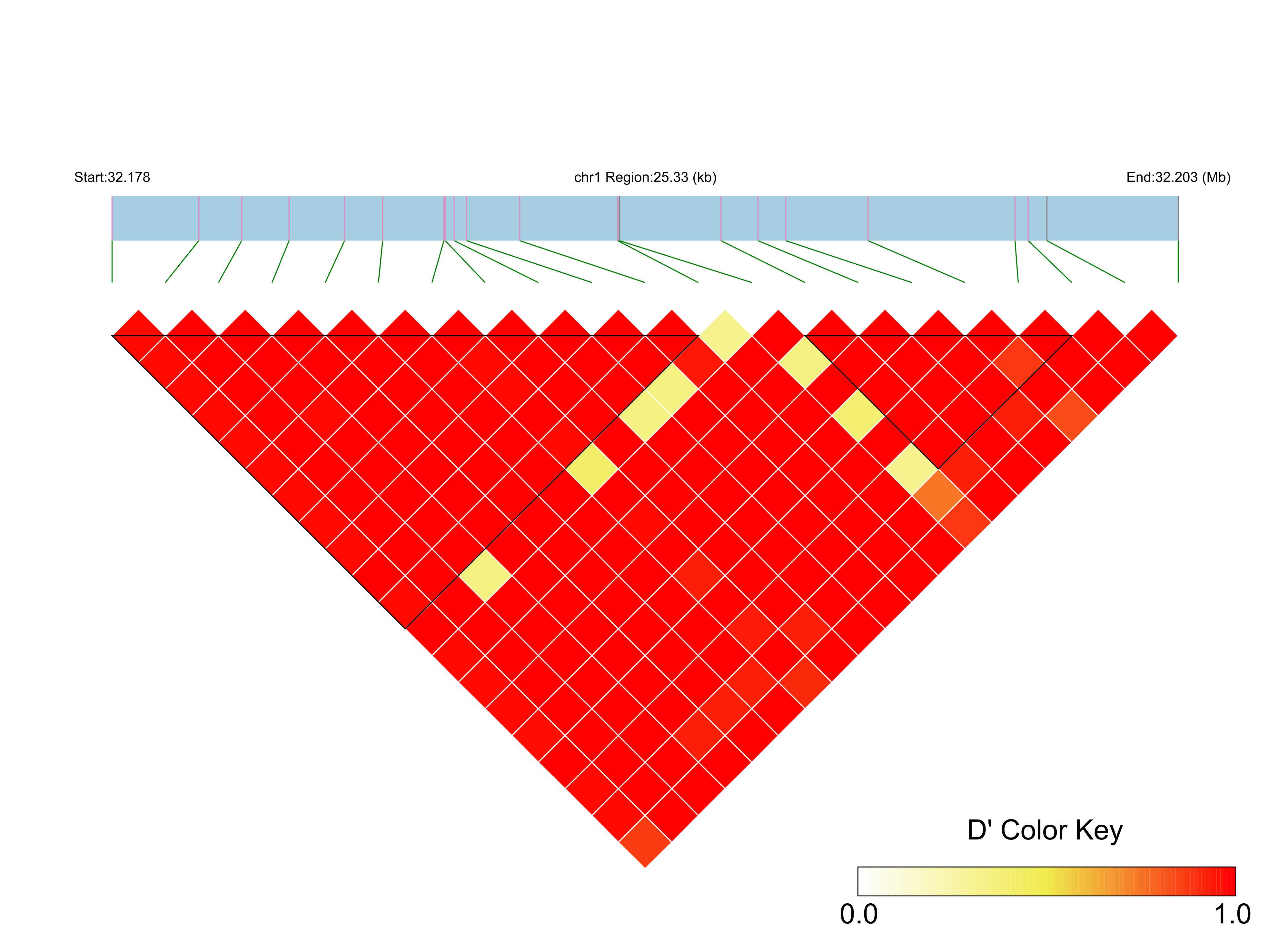 LD